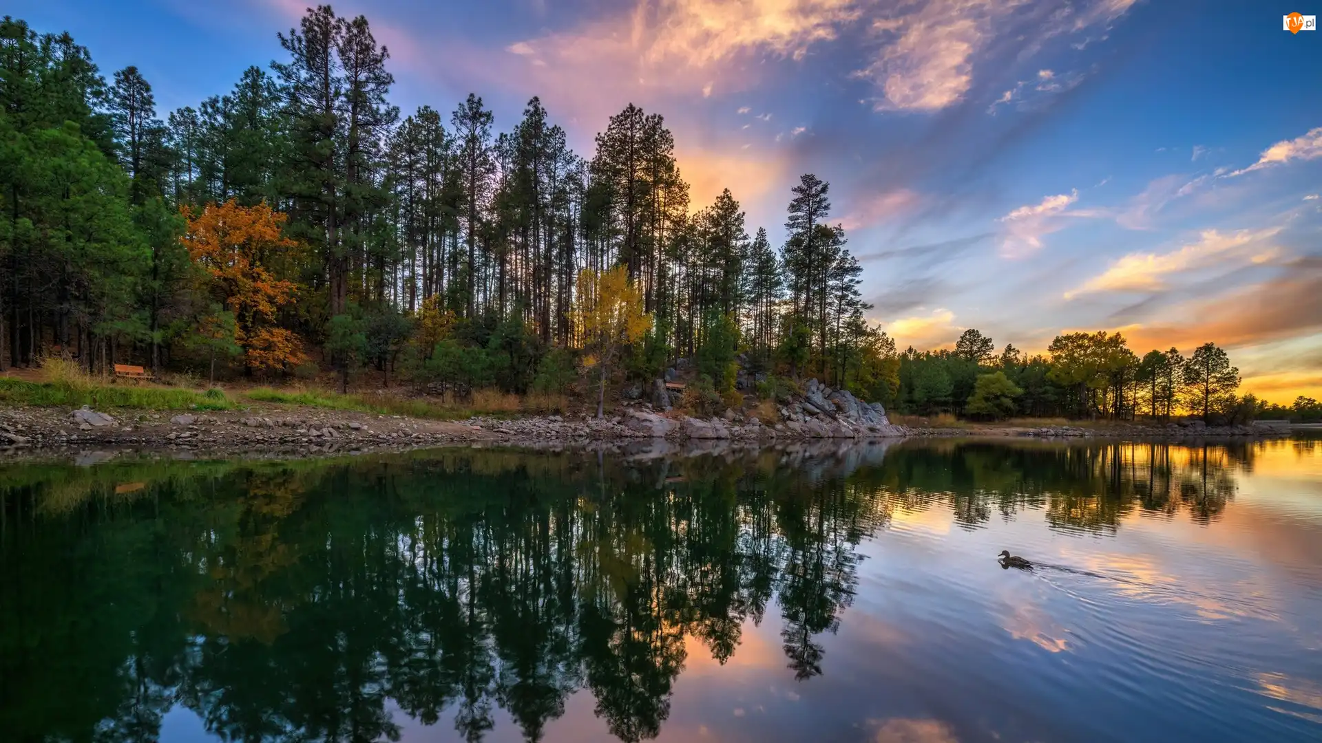 Arizona, Jezioro, Odbicie, Stany Zjednoczone, Zachód Słońca, Drzewa, Goldwater Lake