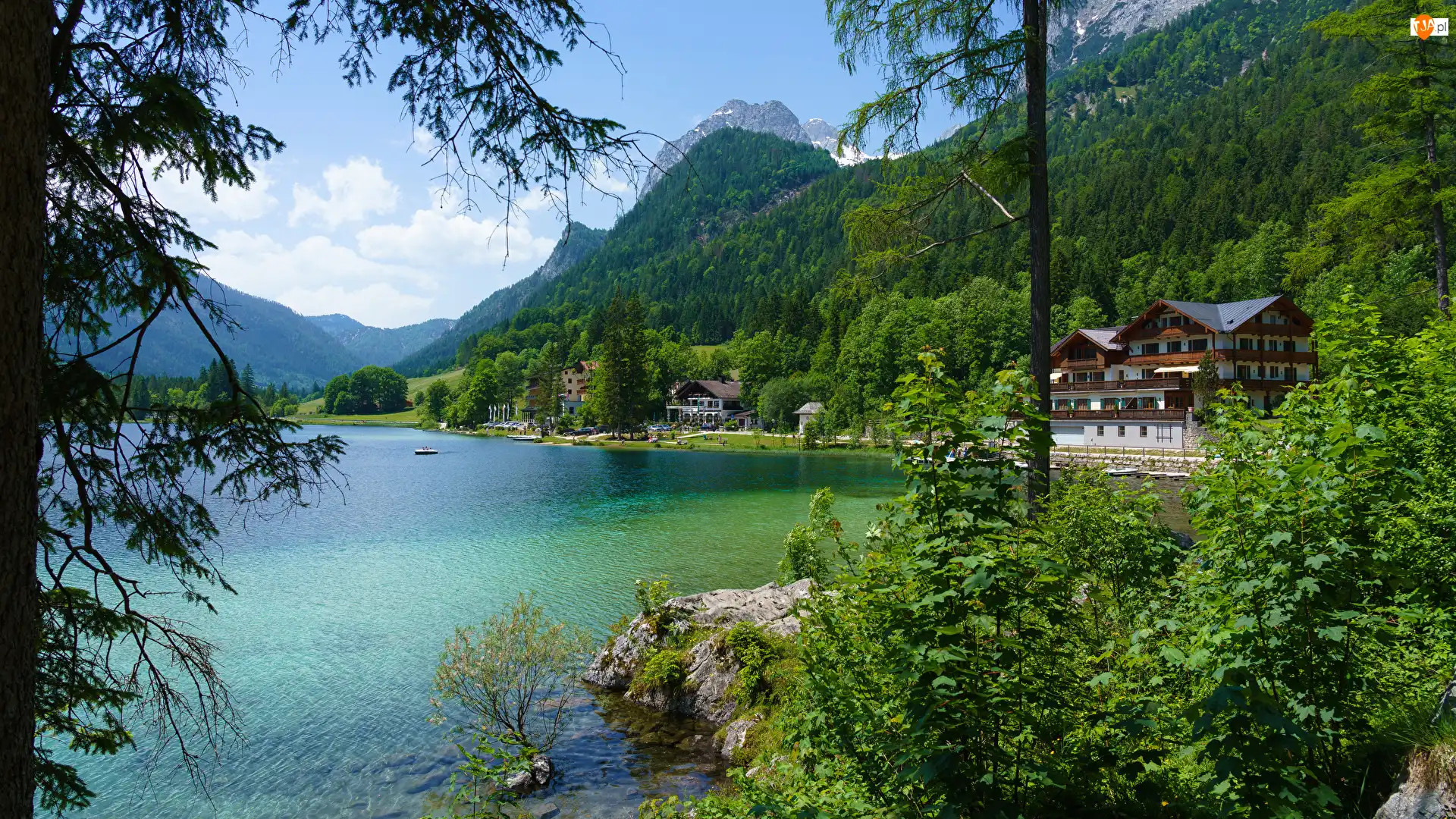 Góry Alpy, Drzewa, Niemcy, Jezioro Hintersee, Bawaria, Gmina Berchtesgadener, Domy