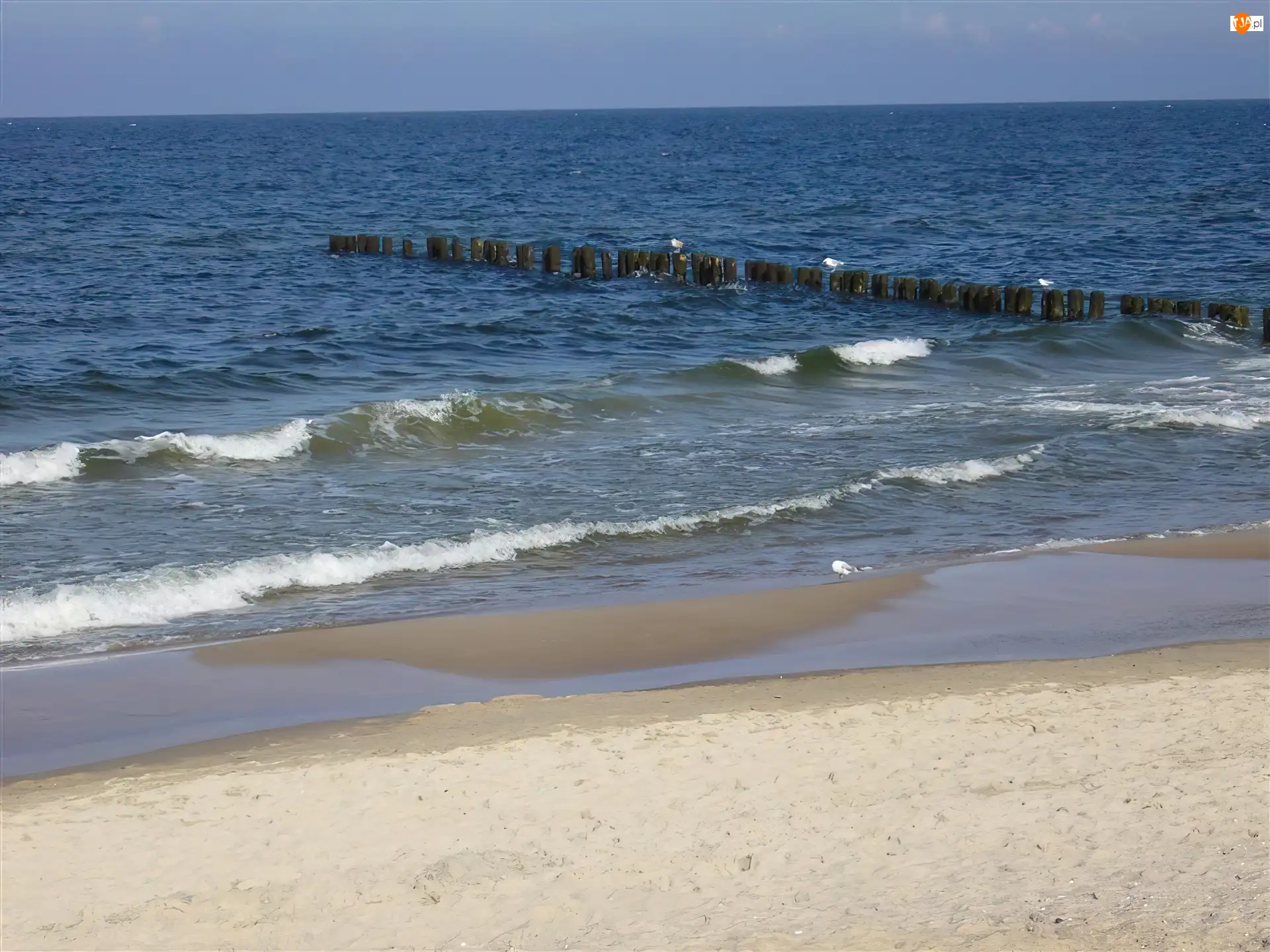 Plaża, Kołobrzeg, Morze