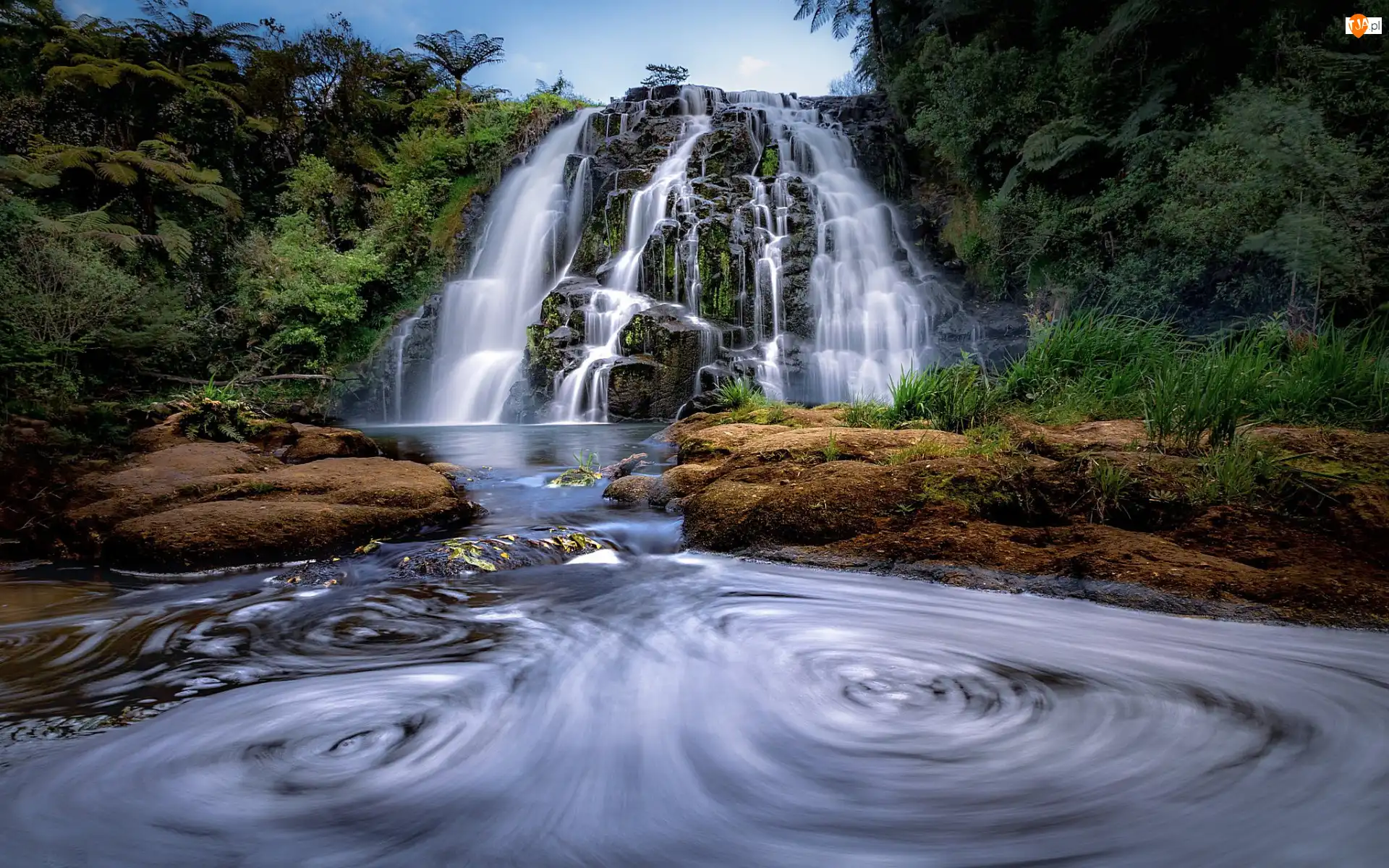 Nowa Zelandia, Drzewa, Waikato, Rzeka, Kamienie, Wodospad, Owharoa Falls, Las, Skała