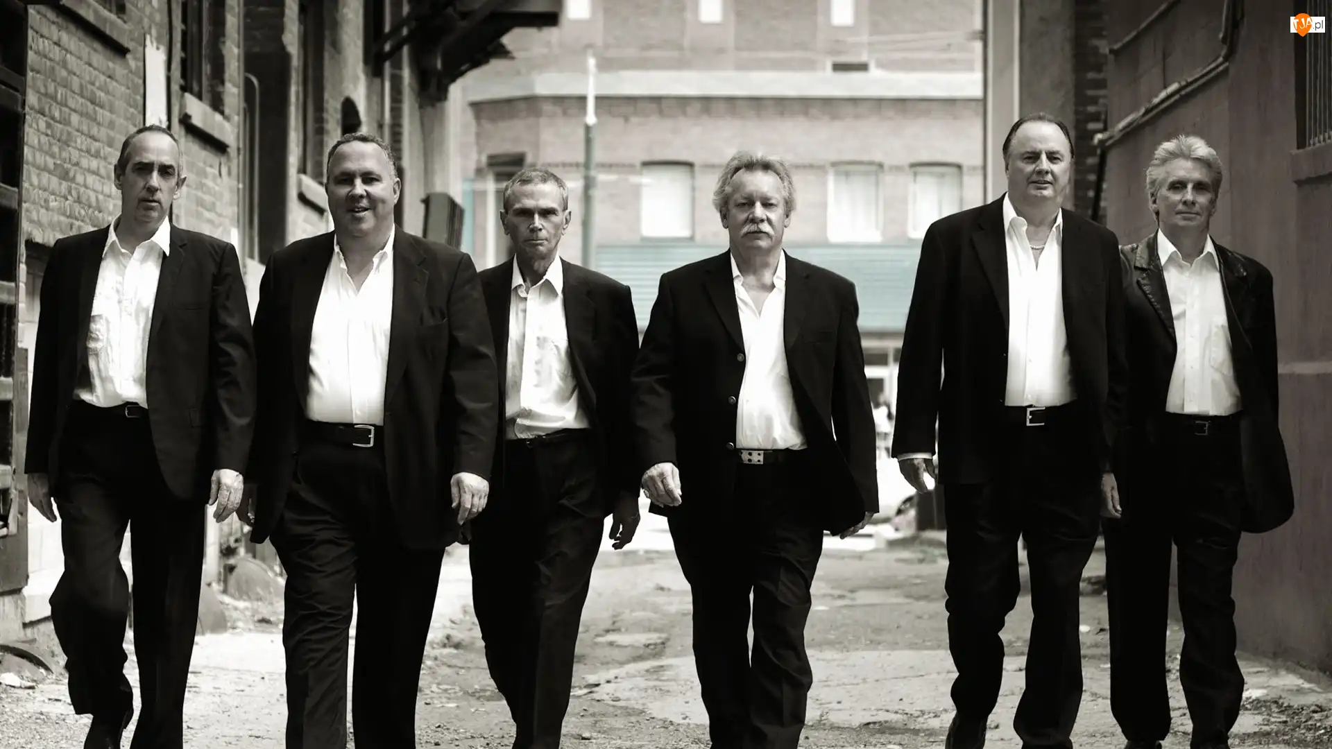Downchild Blues Band, Zespół, Muzyczny