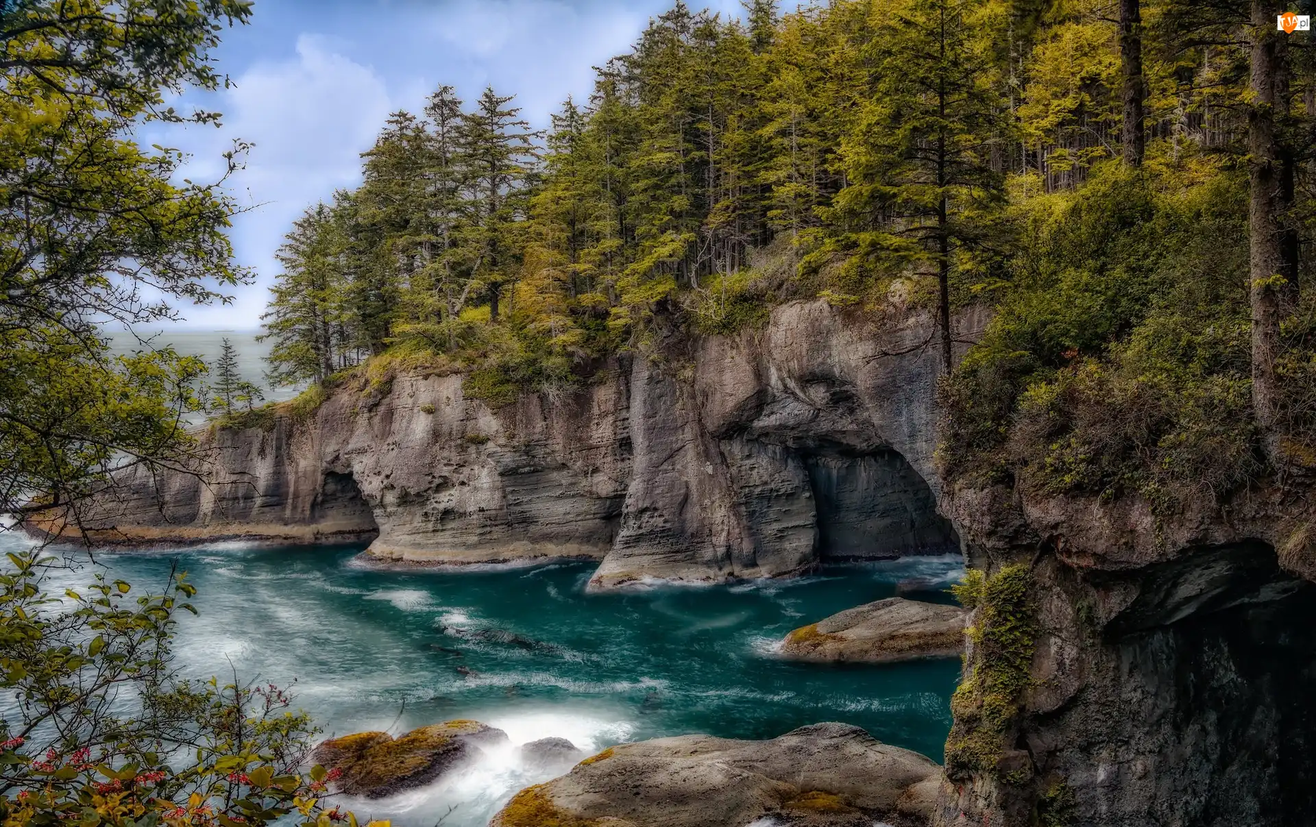 Przylądek Cape Flattery, Park Narodowy Olympic, Drzewa, Stan Waszyngton, Morze, Jaskinie, Stany Zjednoczone, Skały