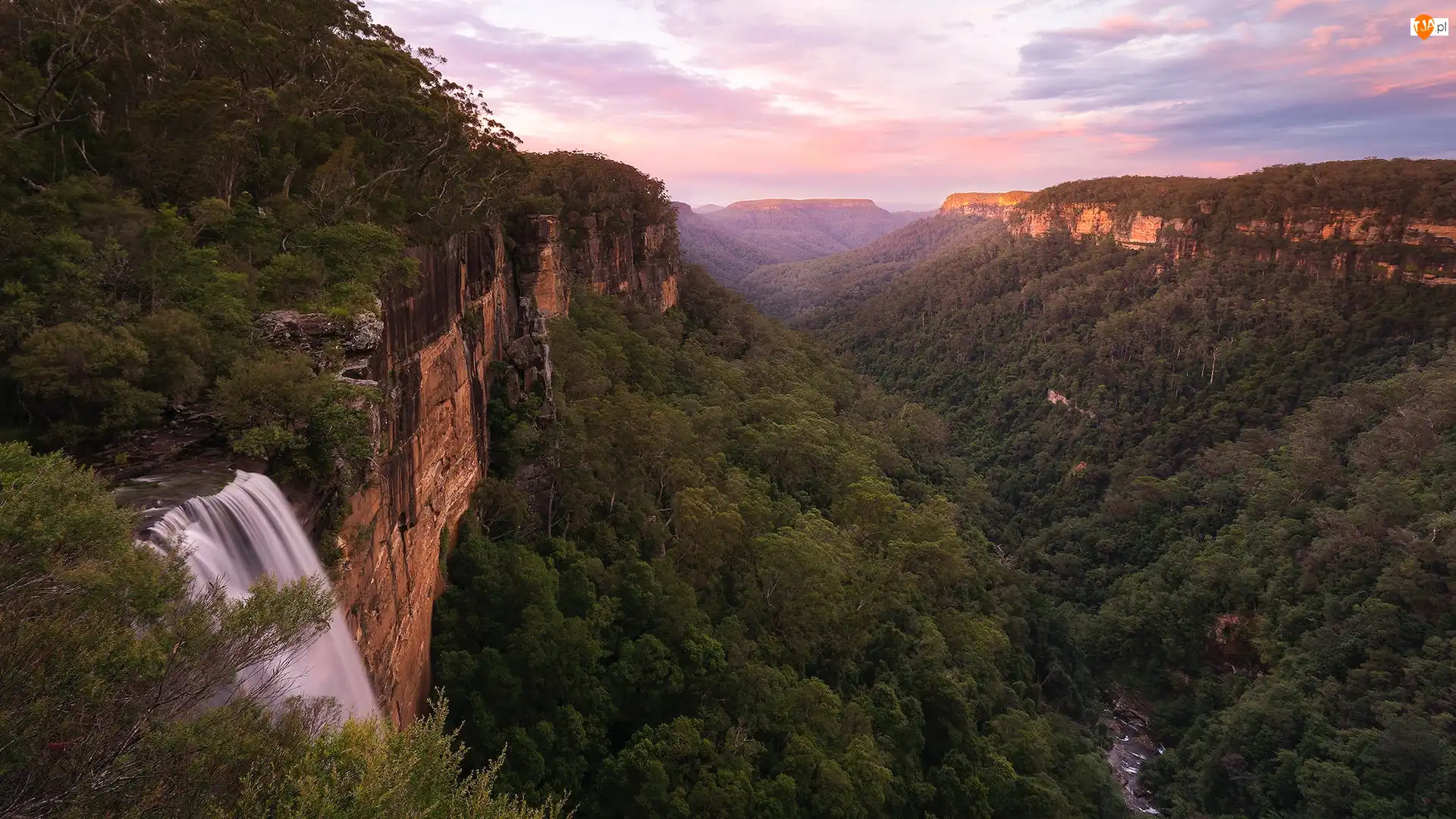 Fitzroy Falls, Australia, Skały, Lasy, Nowa Południowa Walia, Wodospad, Wąwóz, Góry
