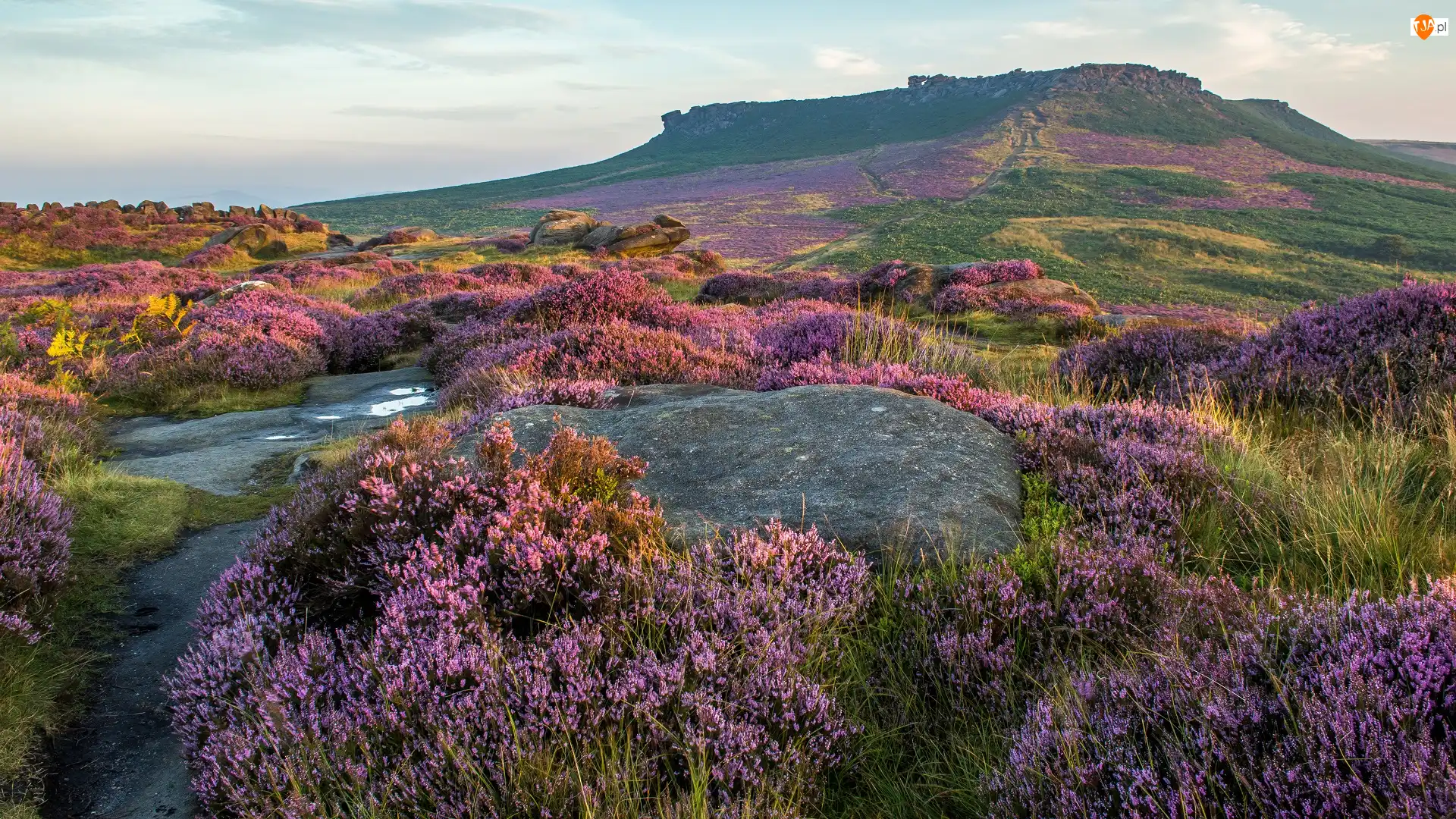 Park Narodowy Peak District, Anglia, Skały, Wrzosowisko, Wzgórza, Wrzosy