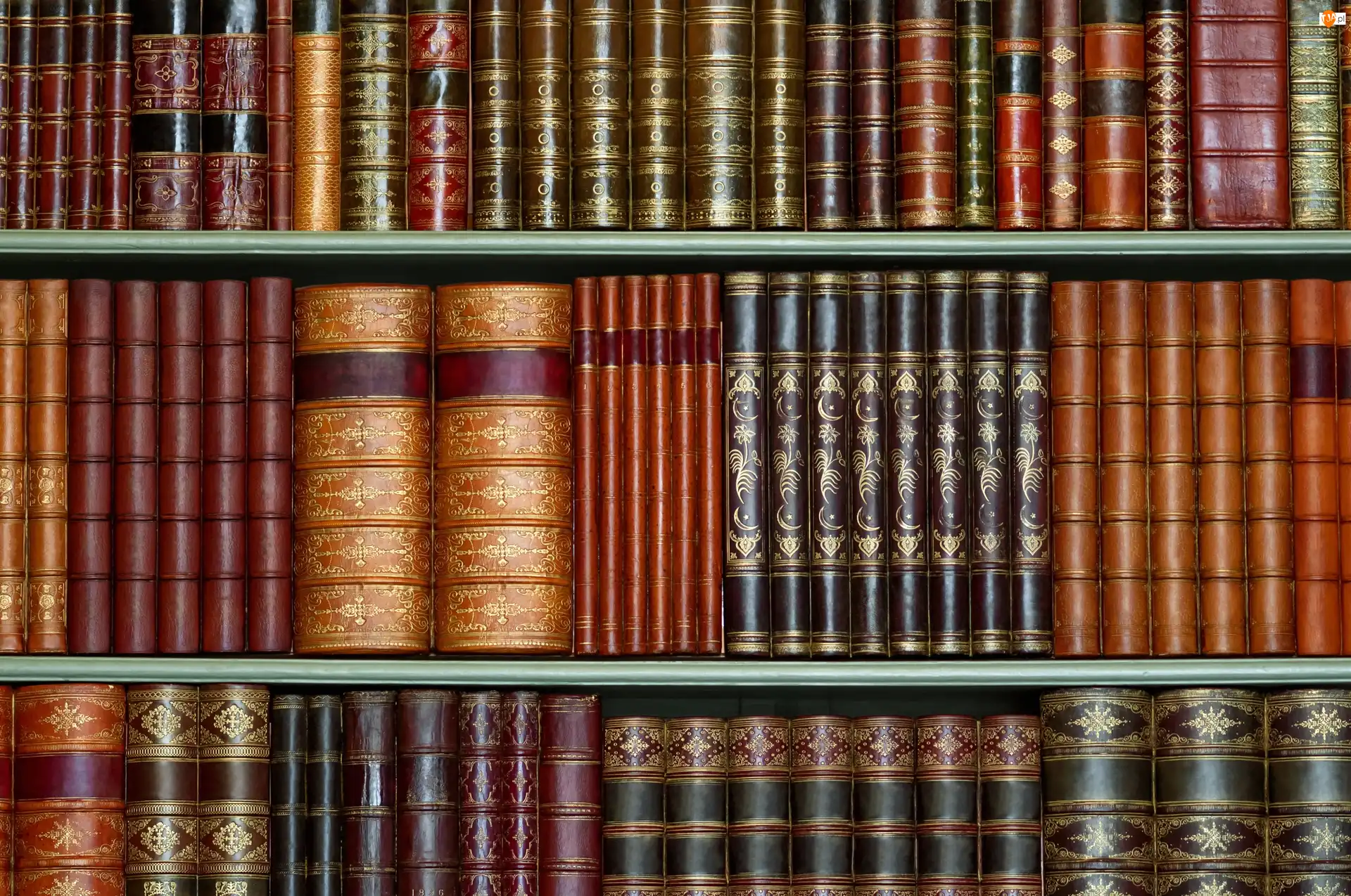 Biblioteka, Książki, Regał