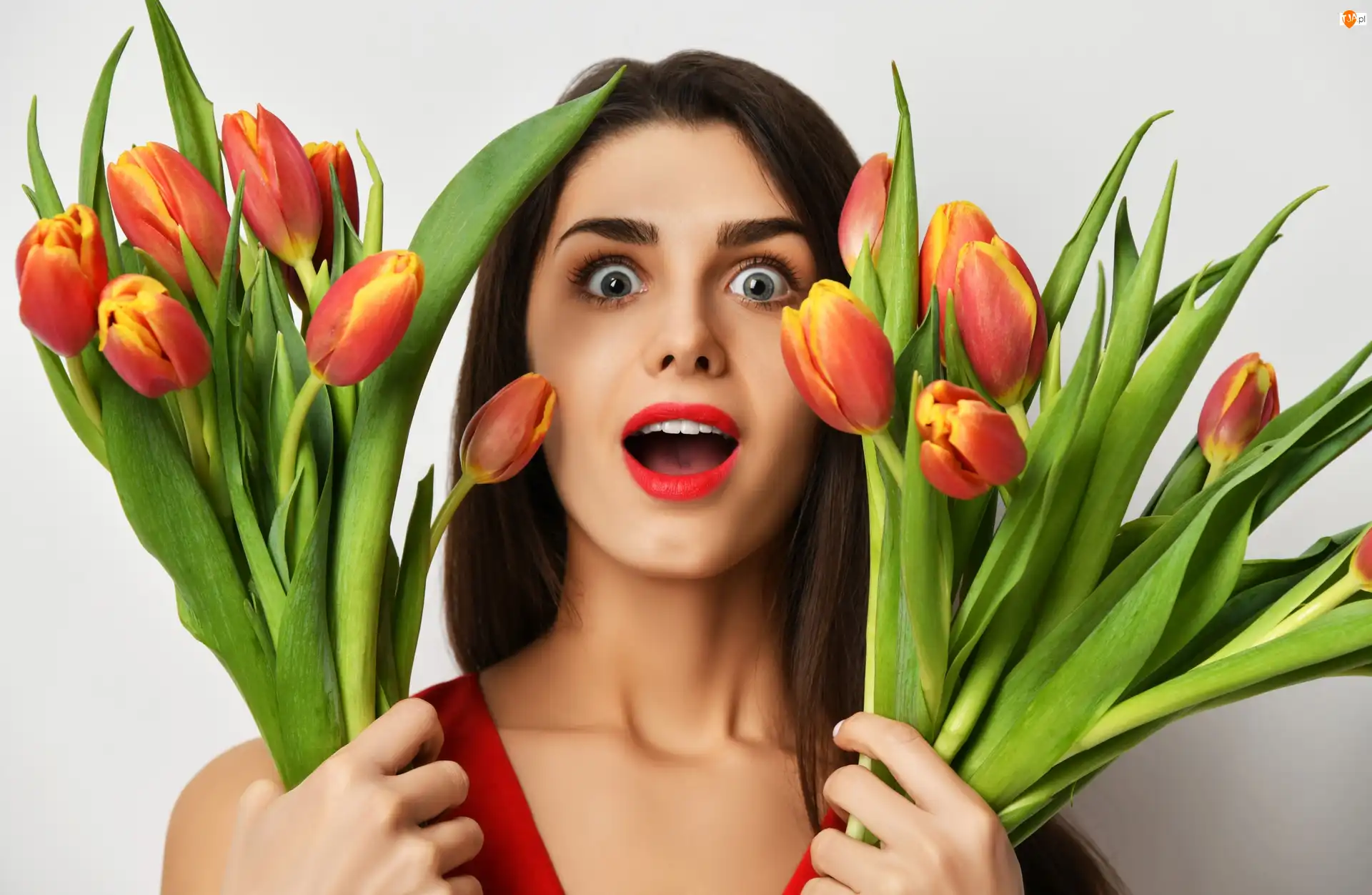 Wiązanki, Kobieta, Tulipany