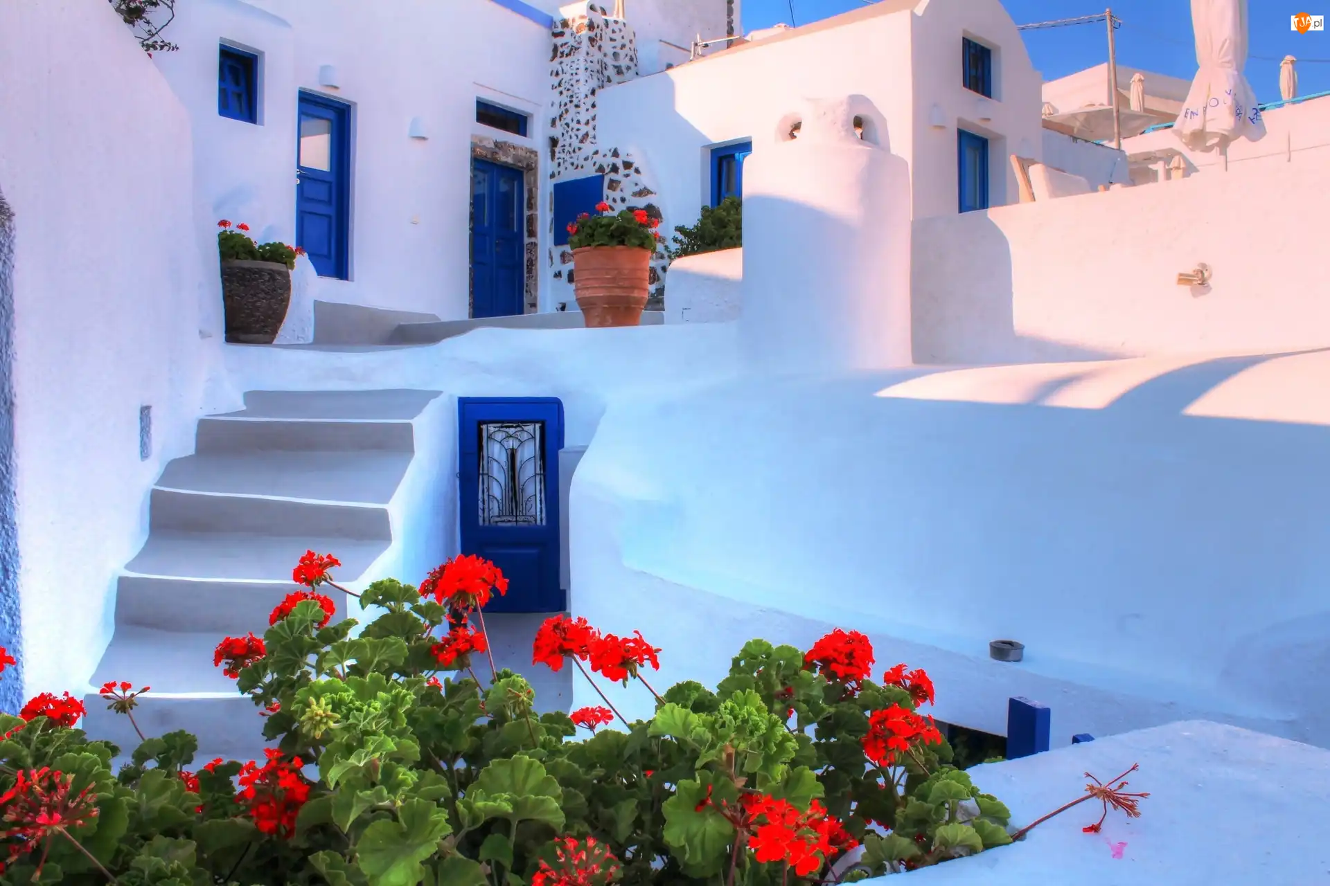 Santorini, Dom, Kwiaty