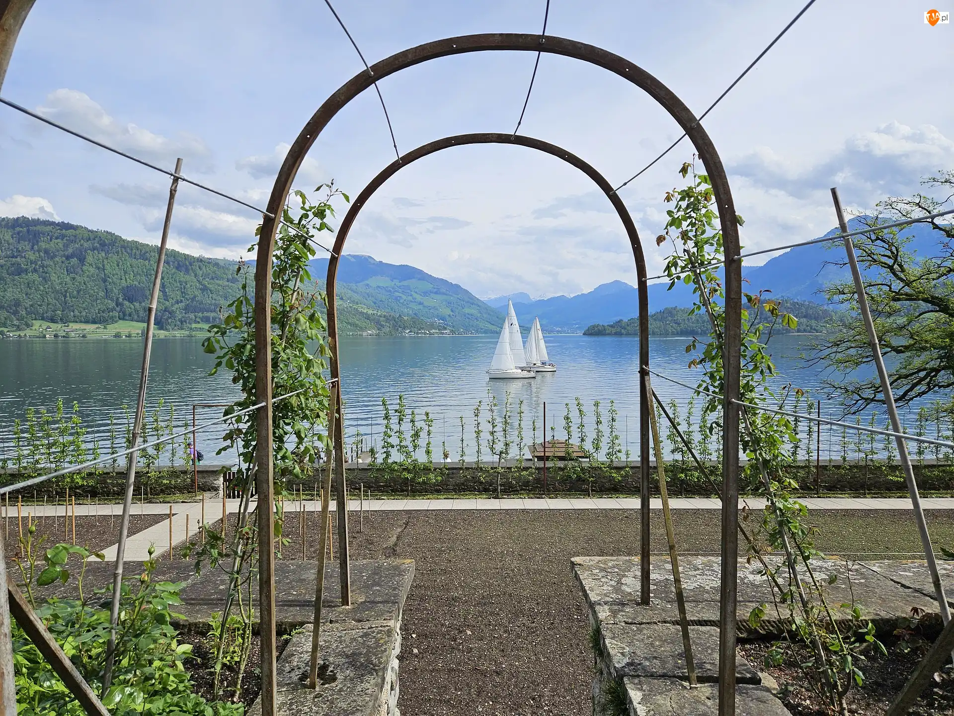 Pergola, Jezioro, Żaglówki, Góry