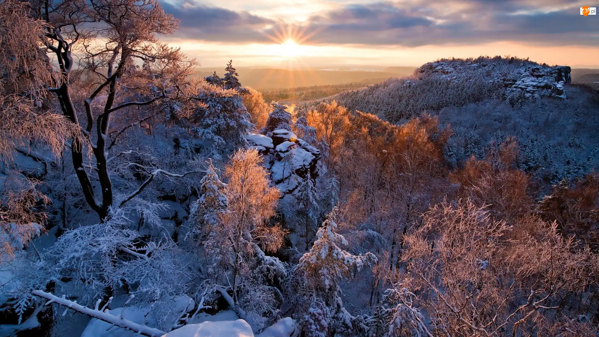 Drzewa, Góry, Śnieg, Skały, Zima, Promienie słońca