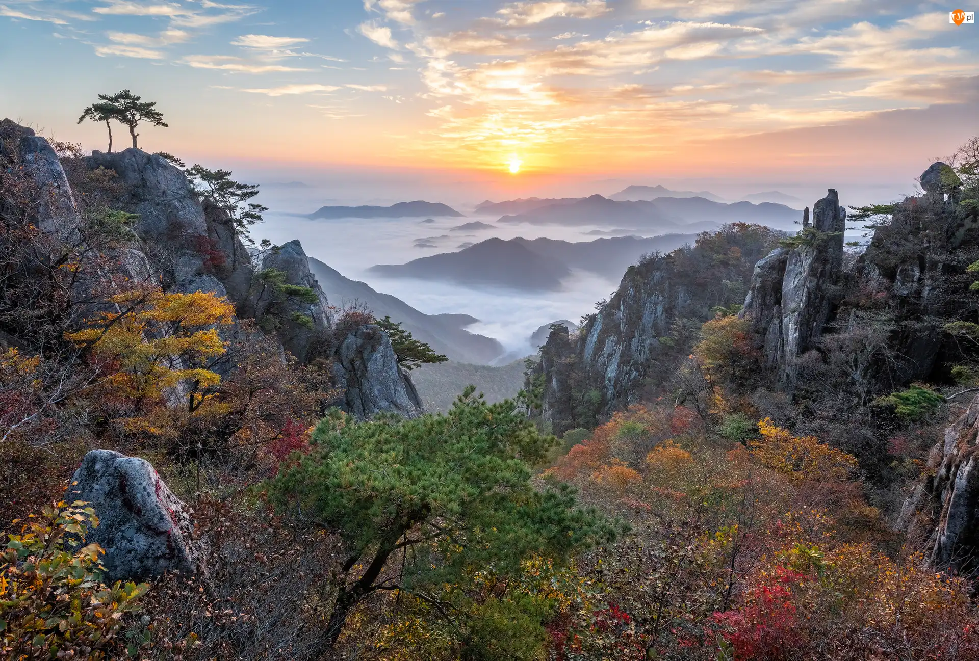 Wschód słońca, Park Prowincjonalny Daedunsan, Skały, Jesień, Drzewa, Mgła, Korea Południowa, Sosny