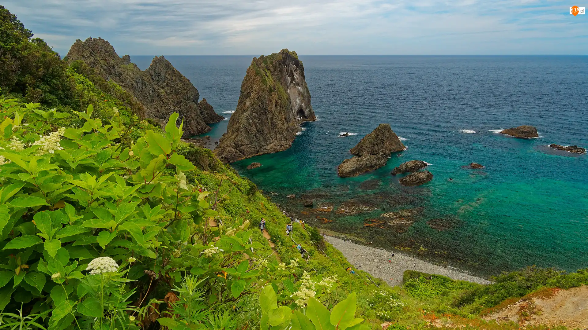 Skały, Roślinność, Japonia, Morze, Hokkaido, Półwysep Shakotan, Punkt widokowy Shimamui Coast