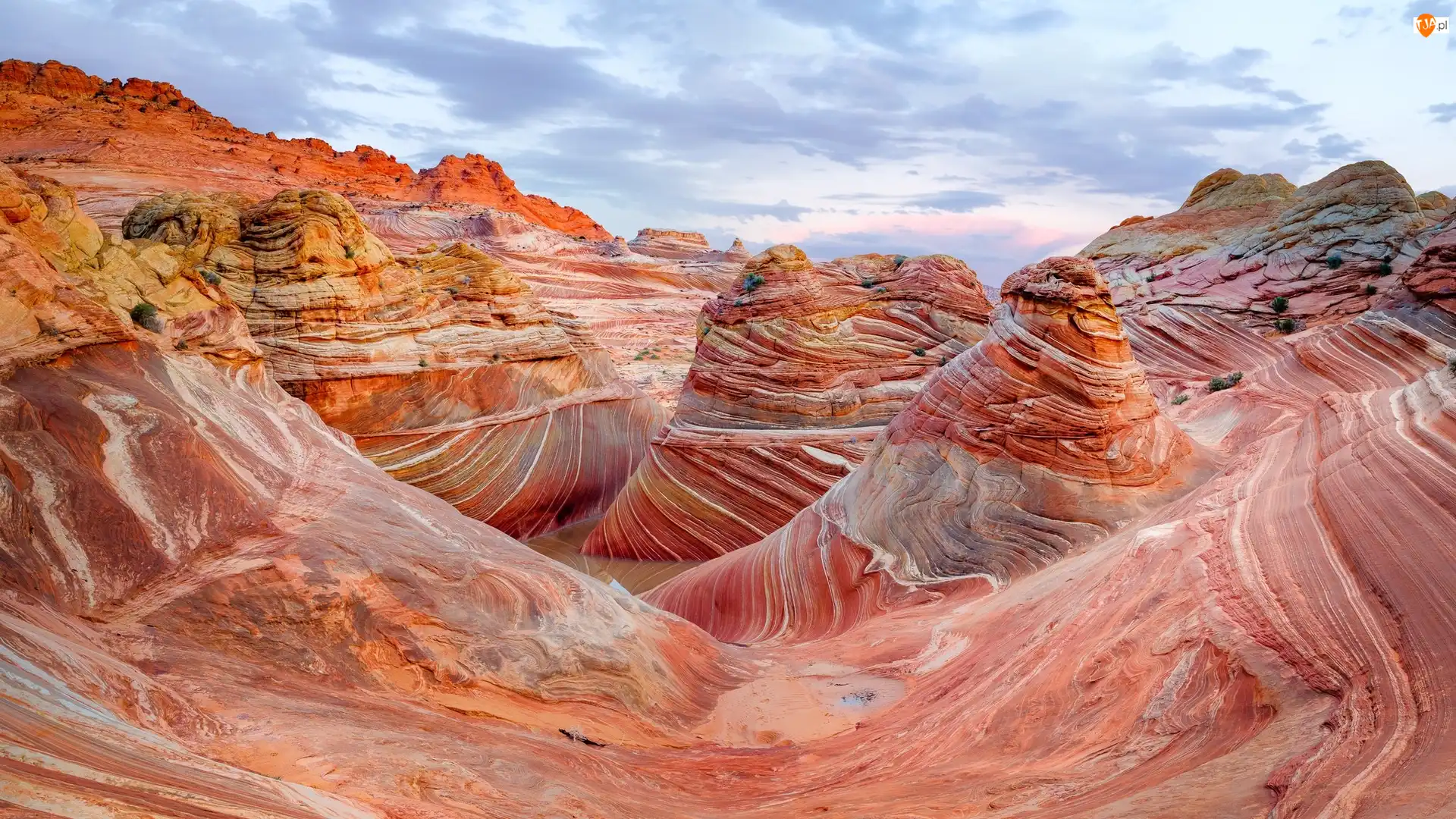 Marble Kanion, Stany Zjednoczone, Skały, Kolorowe, Arizona