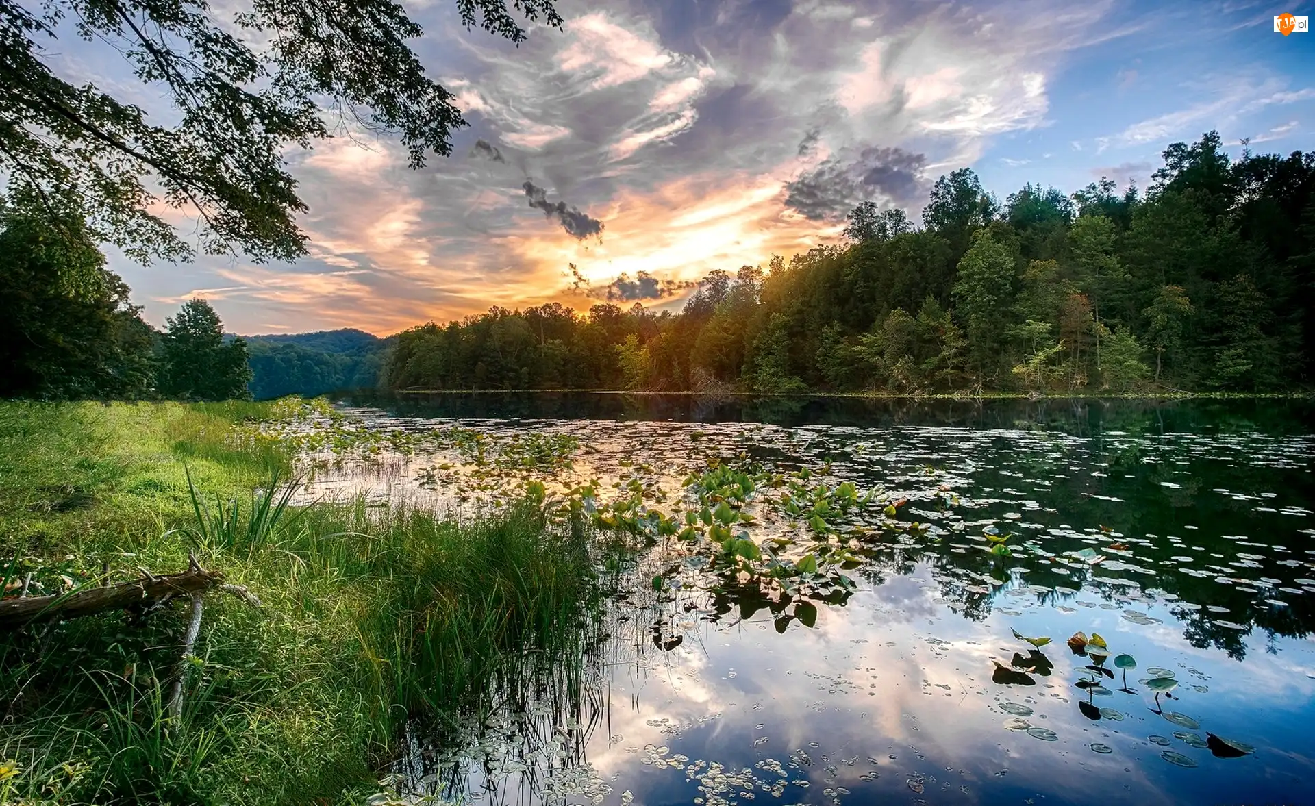 Wschód słońca, Rzeka, Drzewa, Trawy