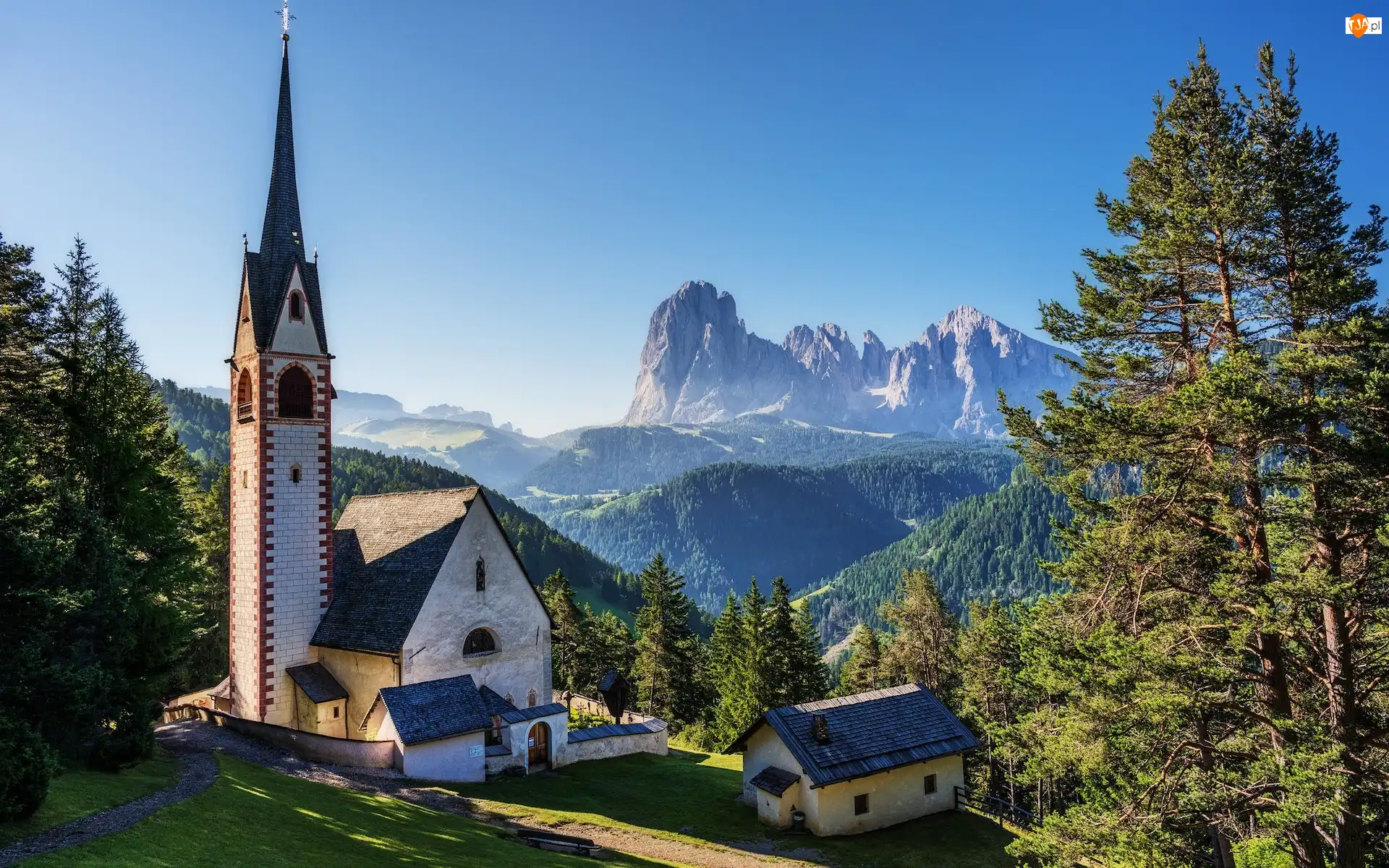 Góry, Sassolungo, Drzewa, Włochy, Św Jakuba, Kościół, Dolomity