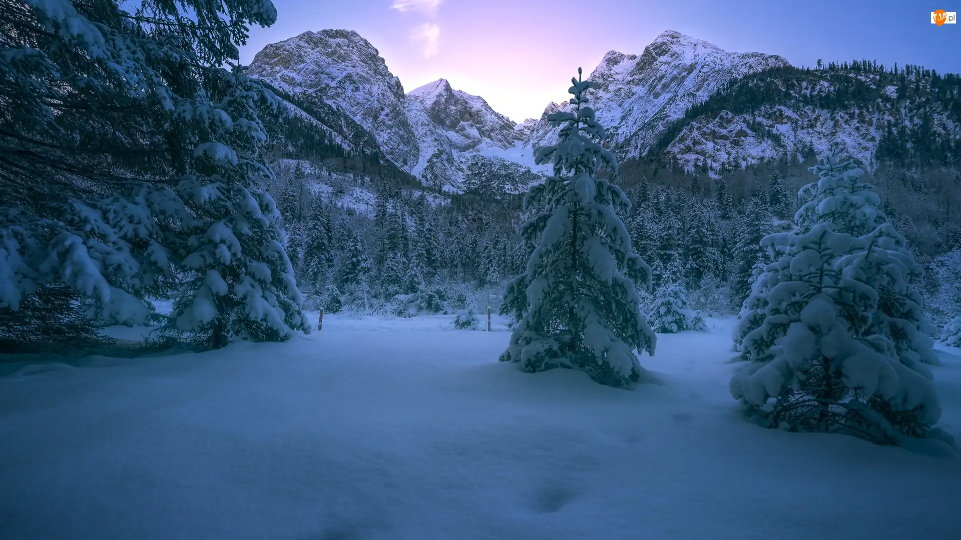 Góry, Zima, Ośnieżone, Austria, Alpy, Drzewa