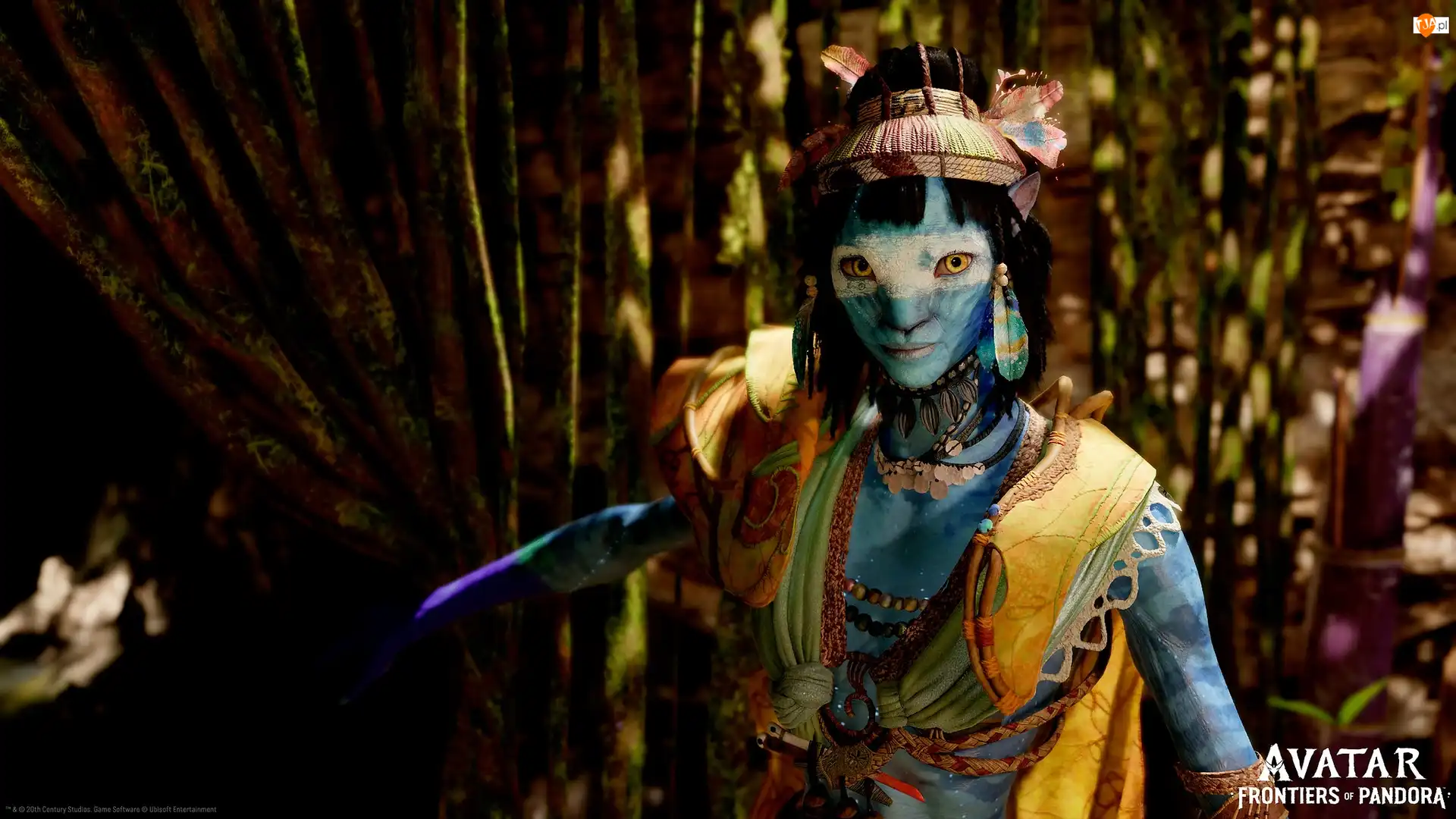 Avatar Frontiers of Pandora, Postać, Gra