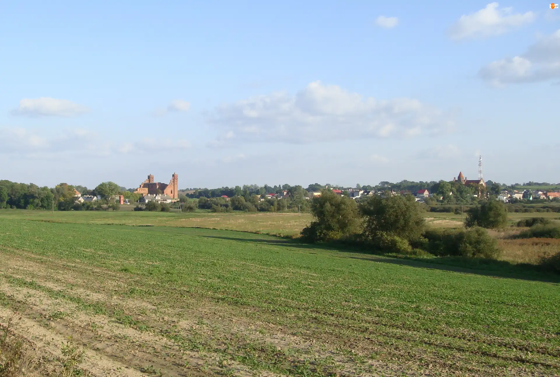 Pola, Radzyń Chełmiński, Łąki, Krajobraz, Miasto