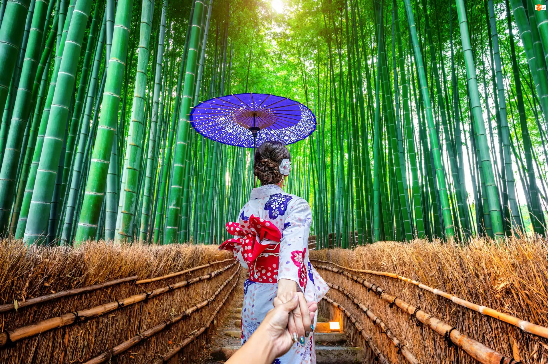 Japonia, Azjatka, Kioto, Las bambusowy, Arashiyama Bamboo Forest, Kimono, Parasolka, Kobieta, Schody
