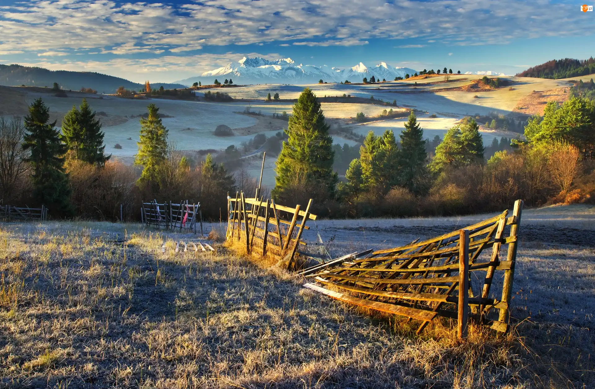 Góry Tatry, Wzgórza, Przymrozek, Polska, Drzewa, Płot, Pola
