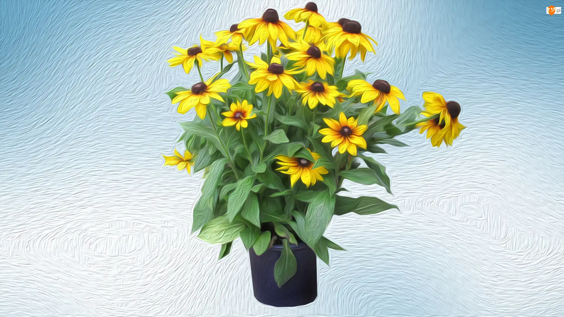 Bukiet, Kwiaty, Rudbekia