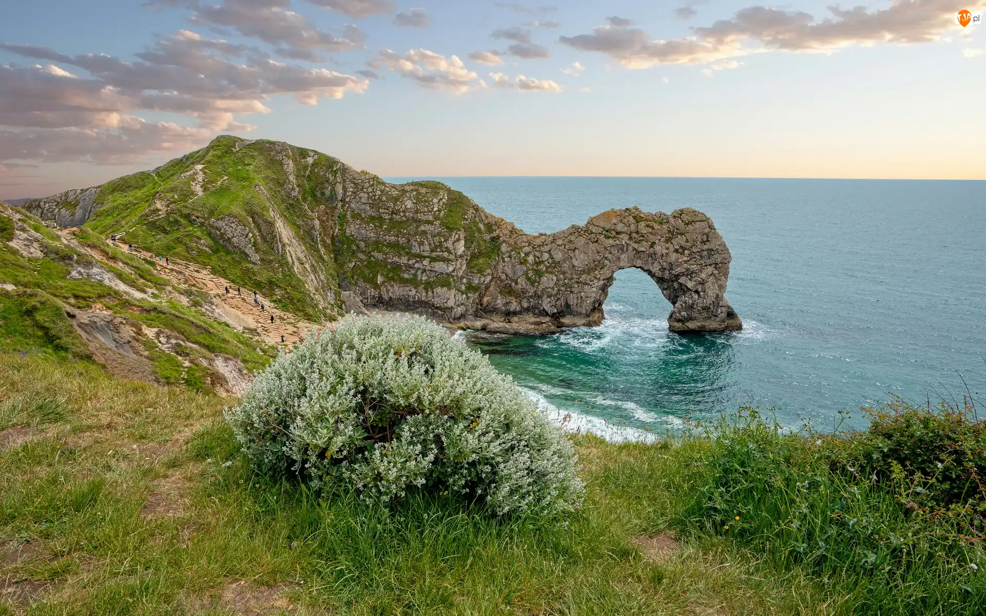 Chmury, Morze, Skała, Hrabstwo Dorset, Wybrzeże Jurajskie, Łuk wapienny Durdle Door, Anglia, Rośliny