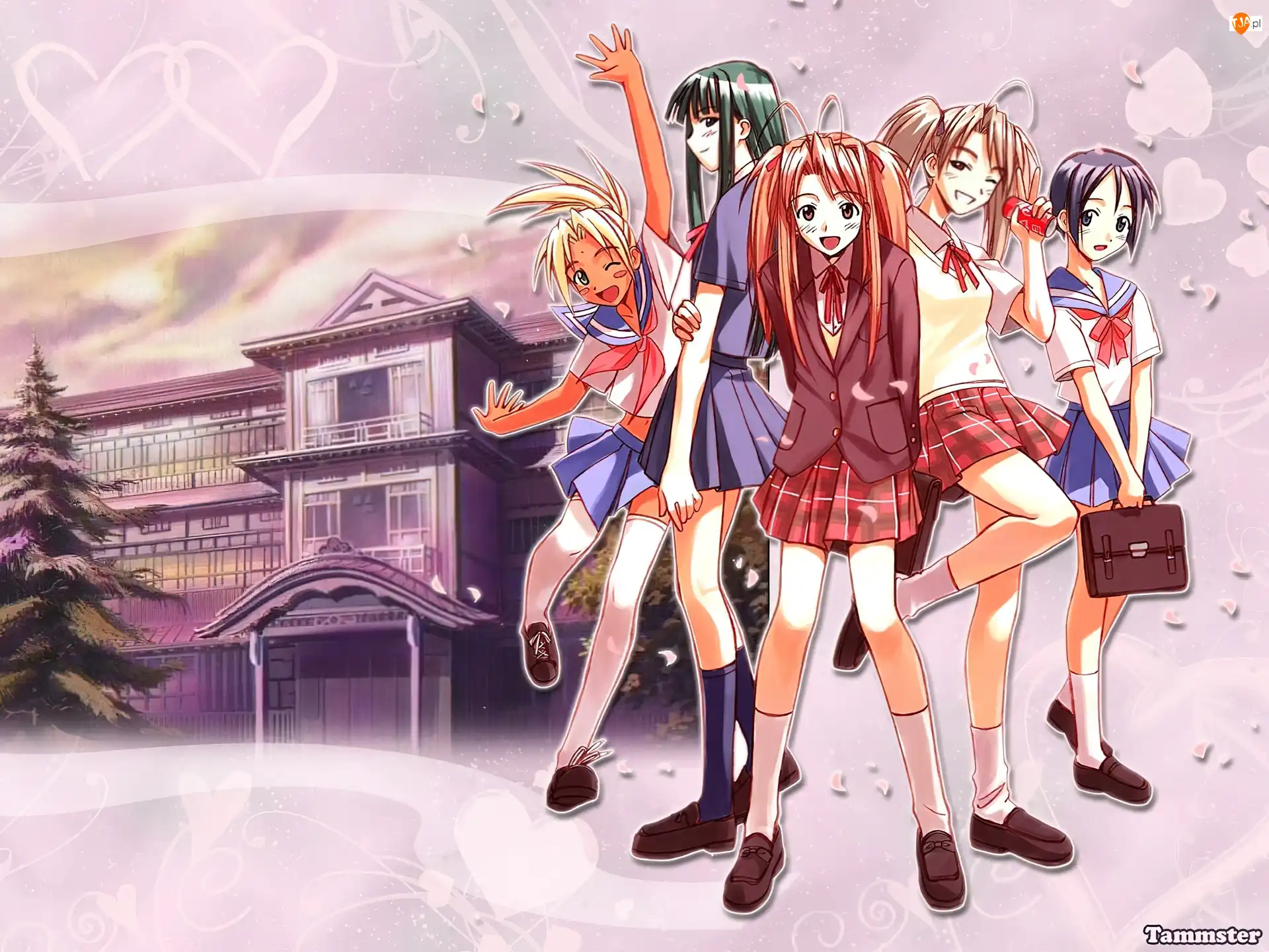 Szkoła, Love Hina