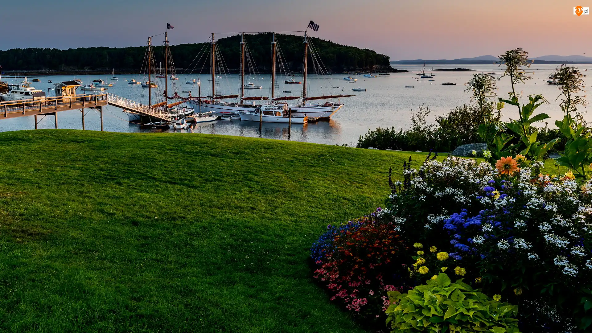Bar Harbor, Przystań, Rabatka, Stan Maine, Żaglówki, Kwiaty, Stany Zjednoczone, Jezioro