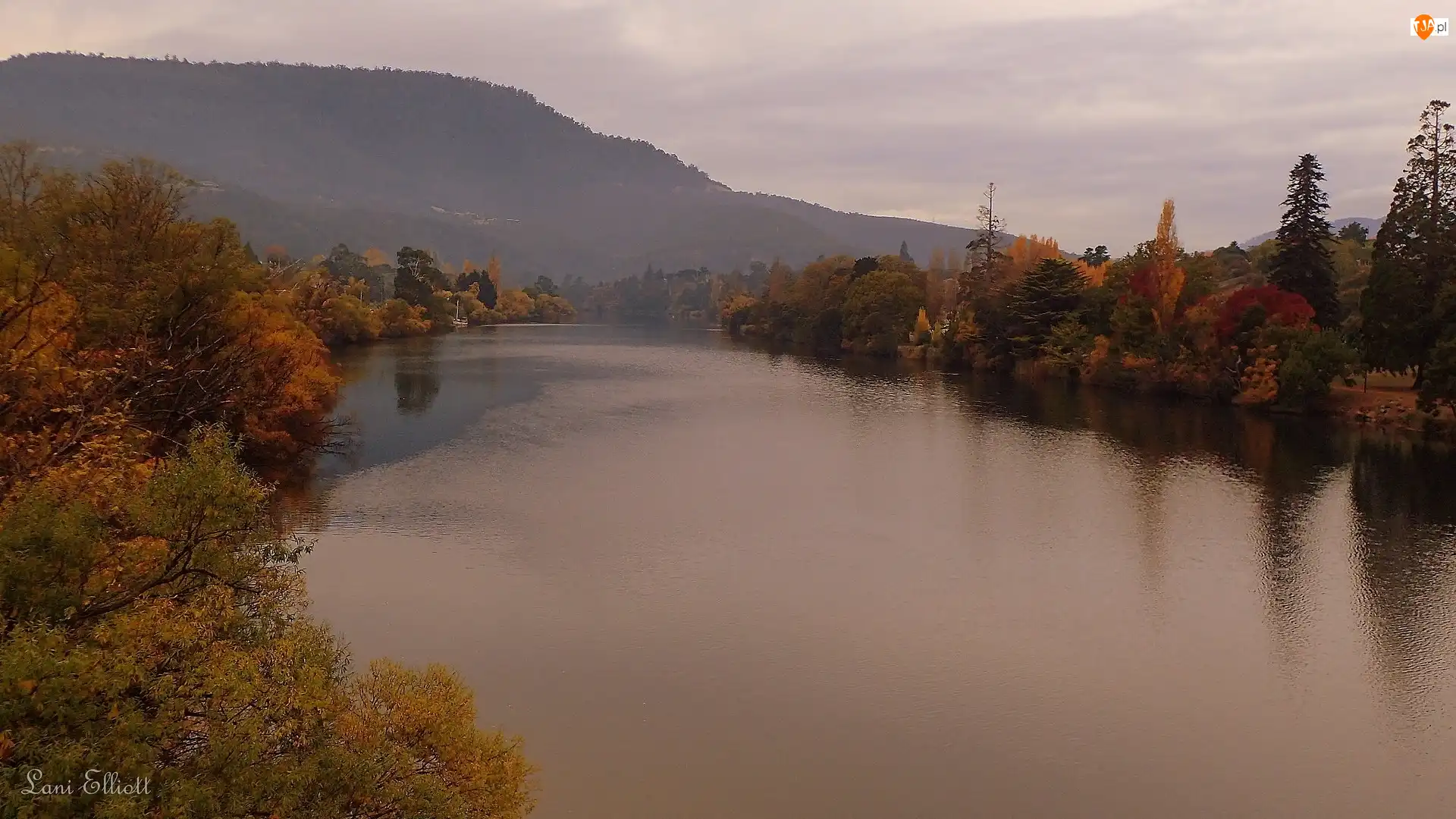 Góry, Jesień, Derwent River, Australia, Rzeka, Drzewa