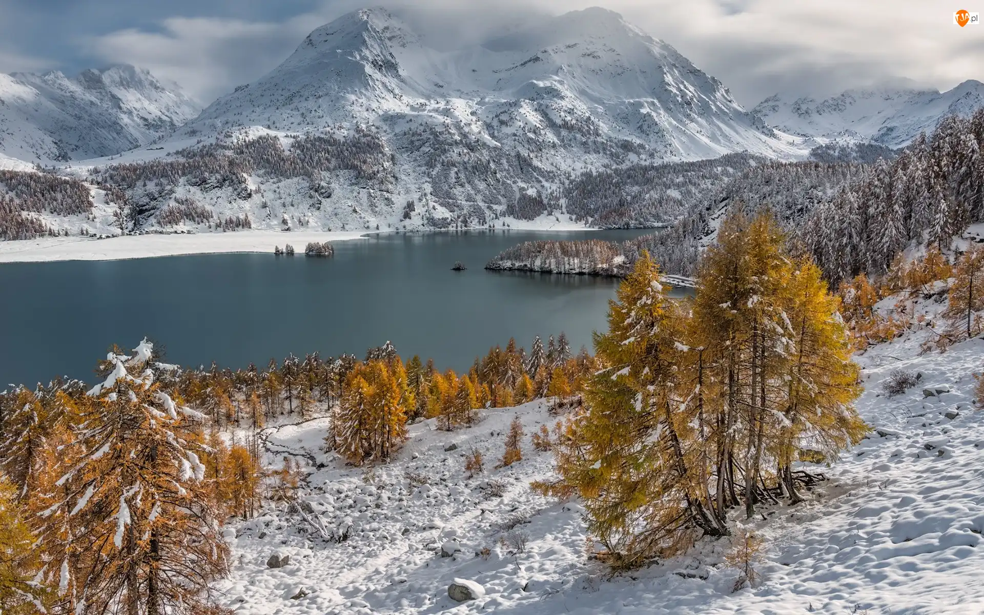 Zima, Dolina Engadyna, Drzewa, Alpi del Bernina, Las, Jezioro Silsersee, Kamienie, Szwajcaria, Góry