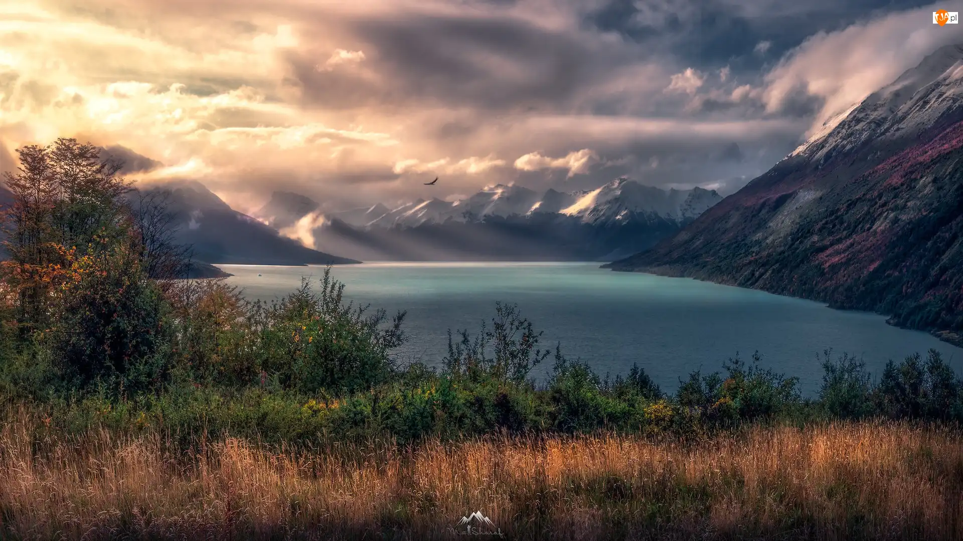Patagonia, Góry, Roślinność, Argentyna, Mgła, Jesień, Jezioro