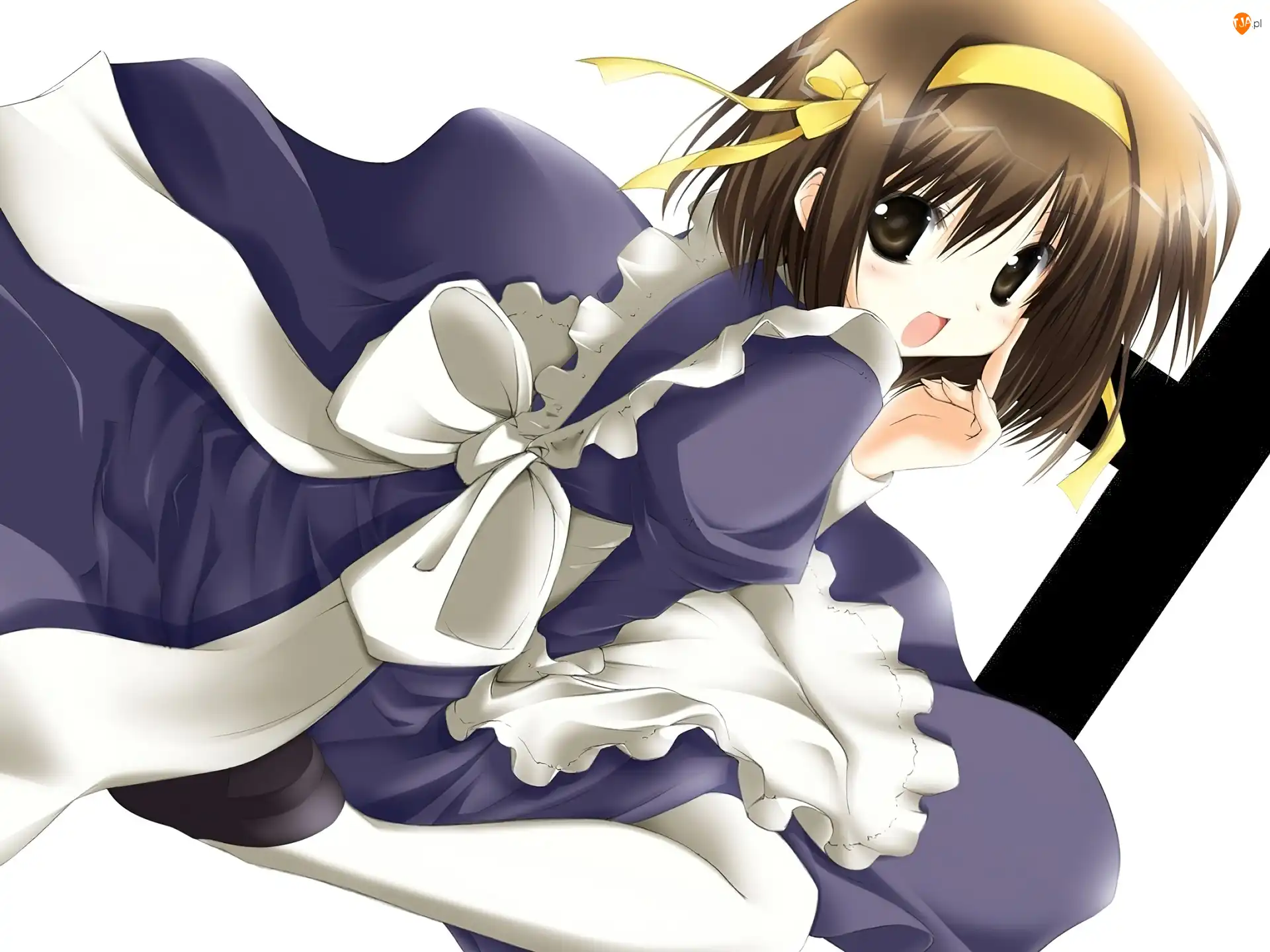 biało niebieski strój, Suzumiya Haruhi No Yuuutsu, kokarda