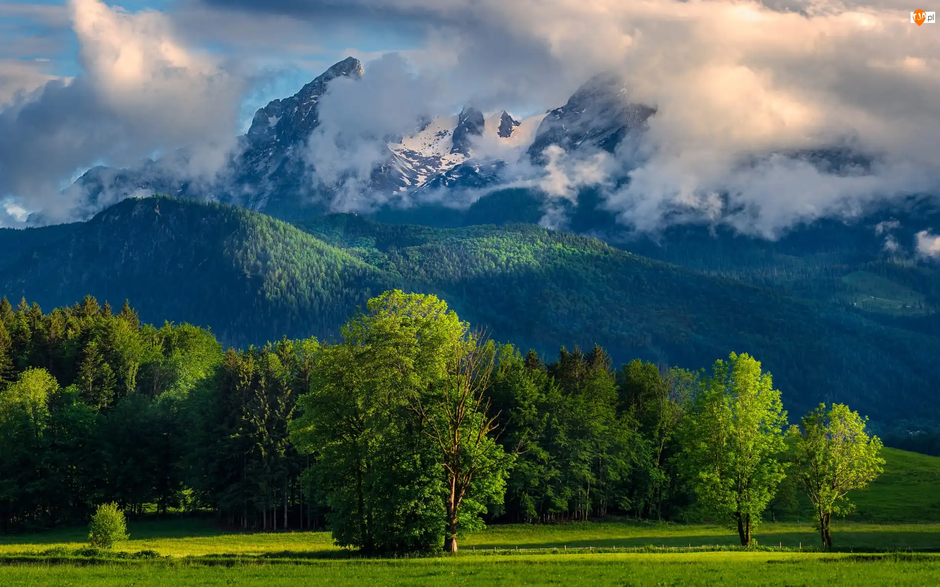 Alpy Berchtesgadeńskie, Las, Niemcy, Góry, Bawaria, Chmury, Drzewa