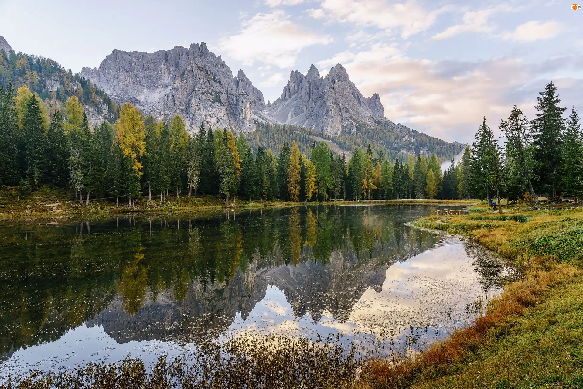 Dolomity, Jezioro Lago di Antorno, Trawa, Włochy, Drzewa, Las, Góry