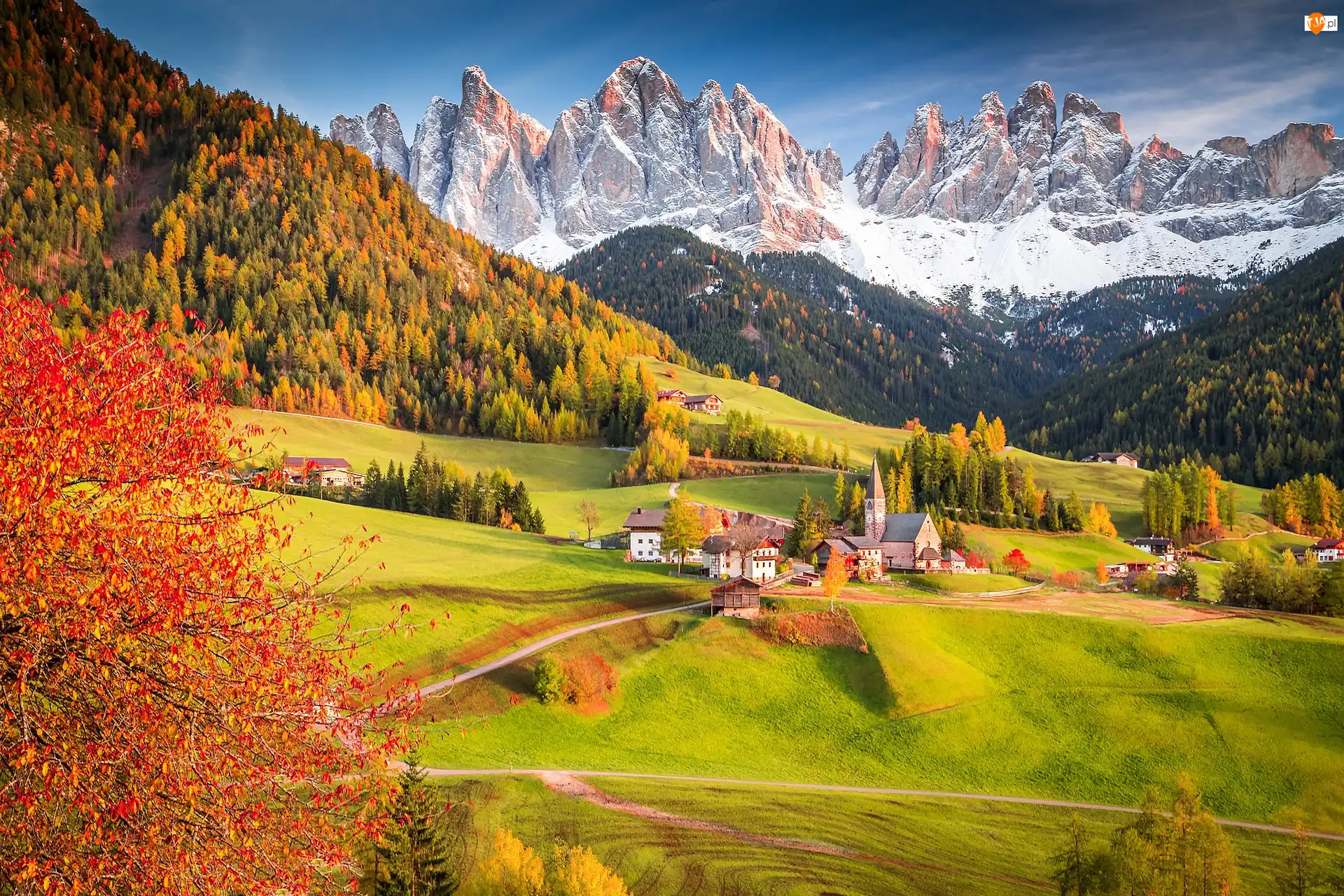 Wieś Santa Maddalena, Góry, Drzewa, Masyw Odle, Dolomity, Domy, Jesień, Włochy, Lasy, Dolina Val di Funes, Kościół