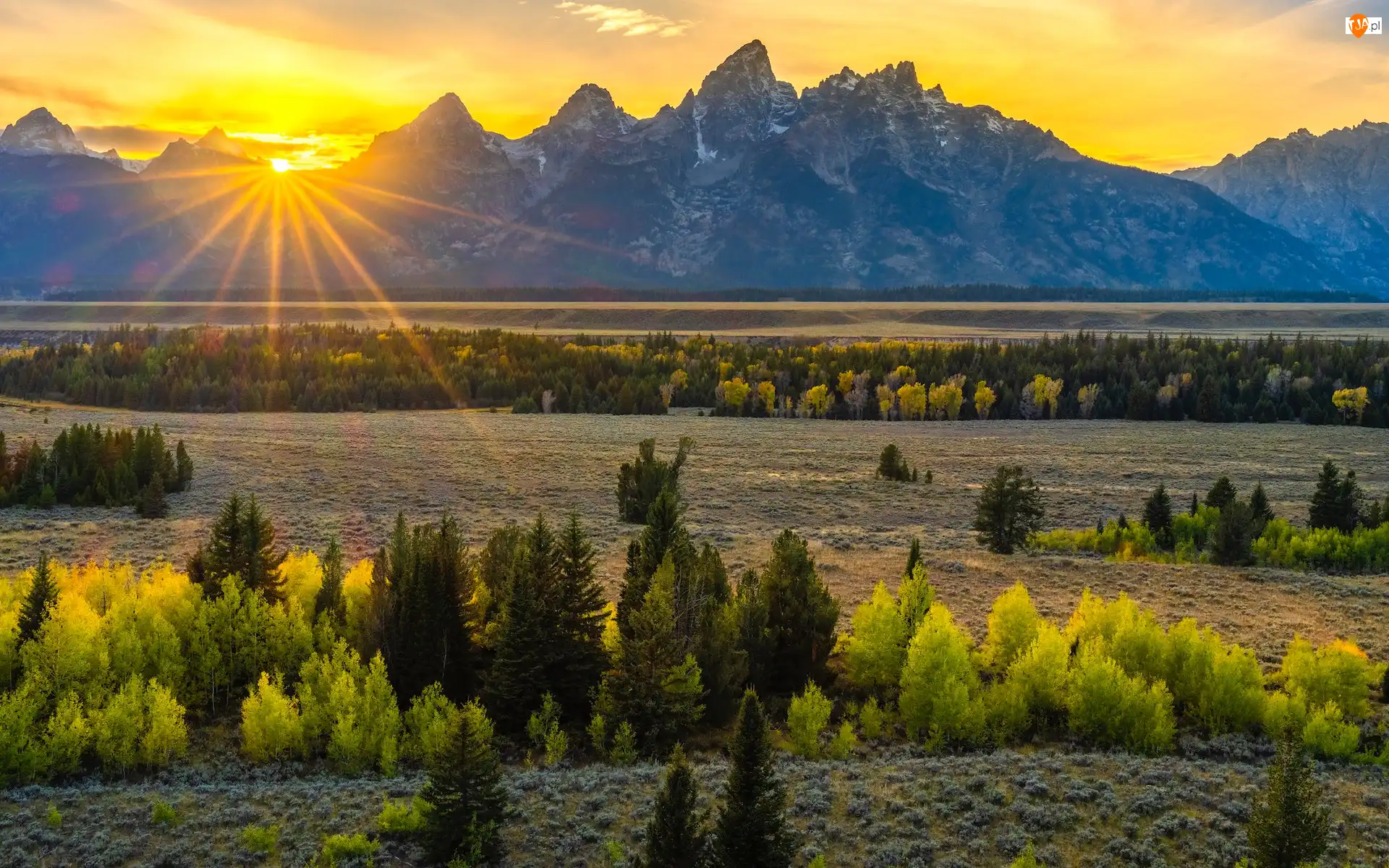 Wyoming, Stany Zjednoczone, Promienie słońca, Drzewa, Park Narodowy Grand Teton, Góry