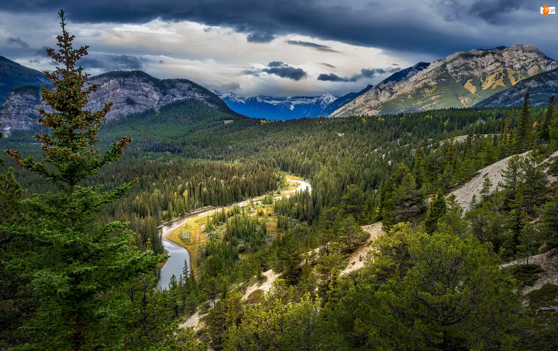 Kanada, Las, Alberta, Chmury, Park Narodowy Banff, Rzeka, Bow River, Góry, Świerk