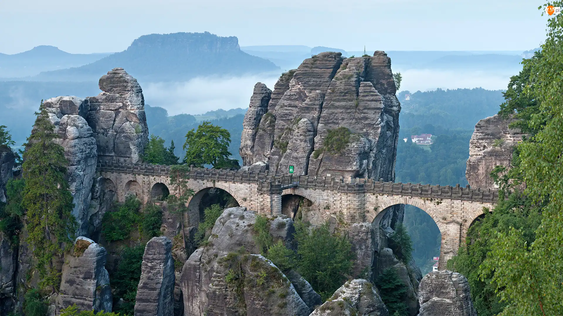 Bastei, Góry Połabskie, Skały, Park Narodowy Saskiej Szwajcarii, Drzewa, Formacja skalna, Niemcy, Most