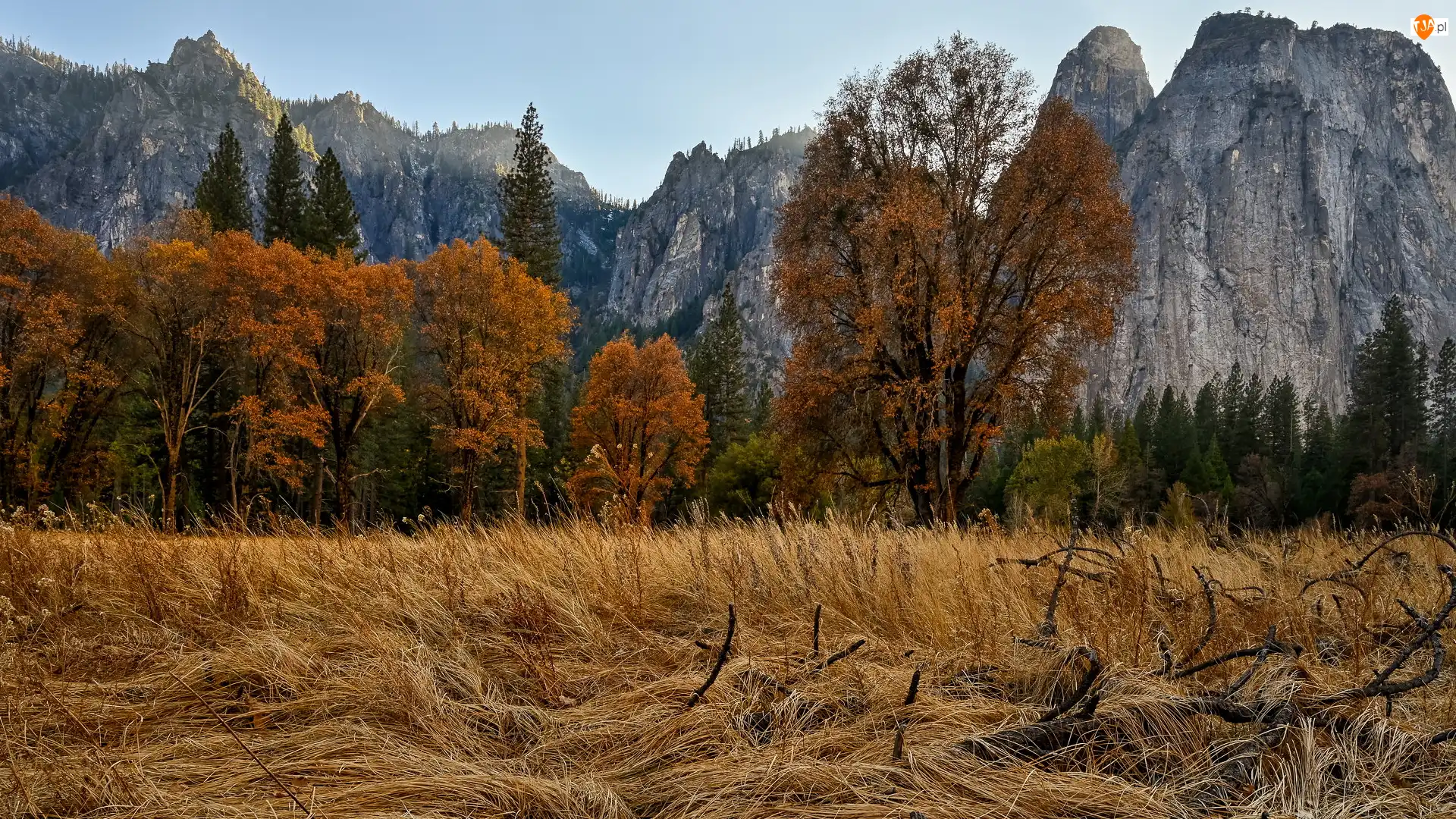 Stany Zjednoczone, Drzewa, Kalifornia, Góry, Szczyt Cathedral Peak, Jesień, Pożółkła, Park Narodowy Yosemite, Trawa