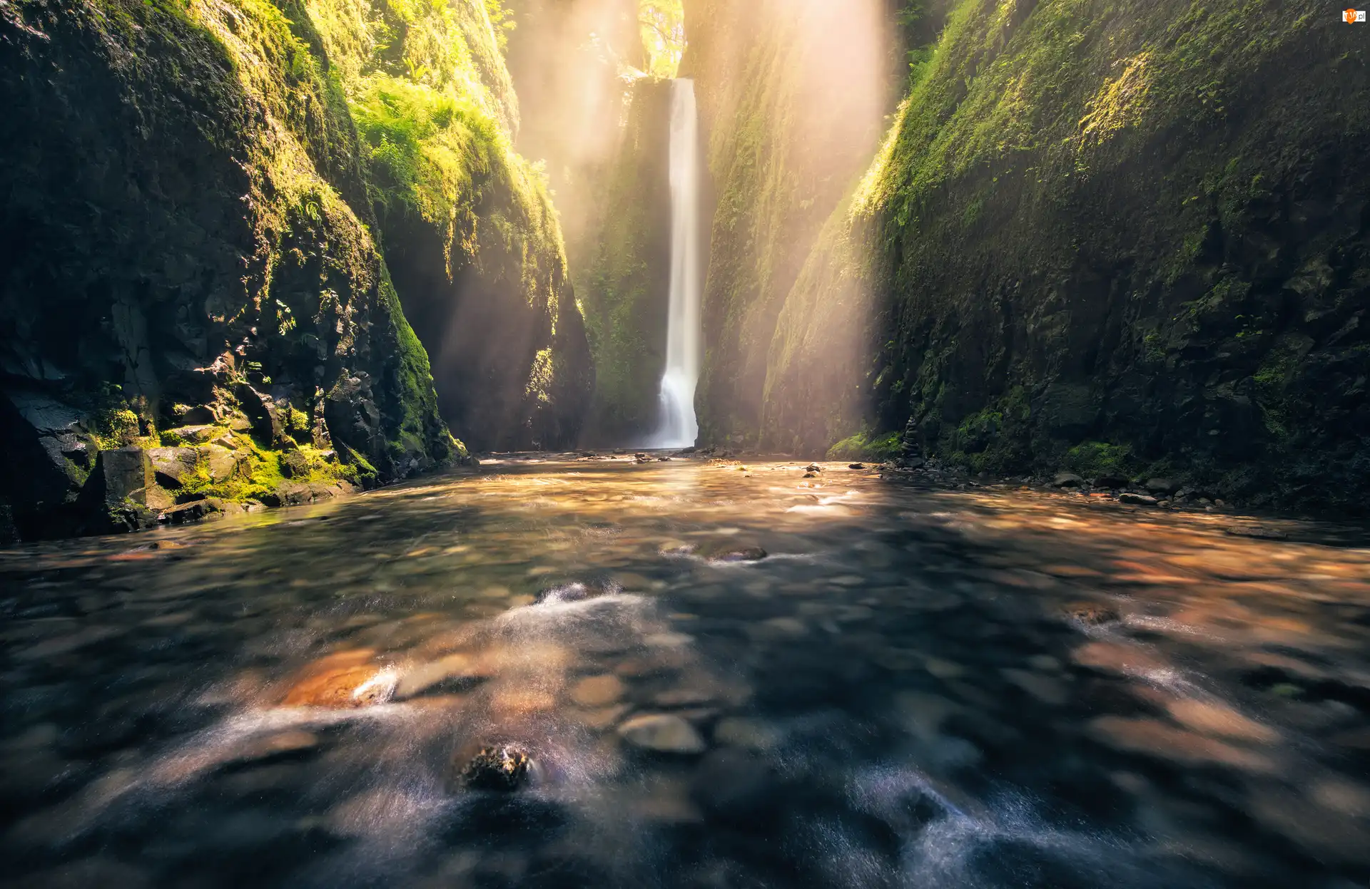 Stany Zjednoczone, Rzeka Oneonta Creek, Stan Oregon, Skały, Rezerwat przyrody Columbia River, Wąwóz Oneonta, Roślinność, Wodospad Oneonta Gorge, Kamienie