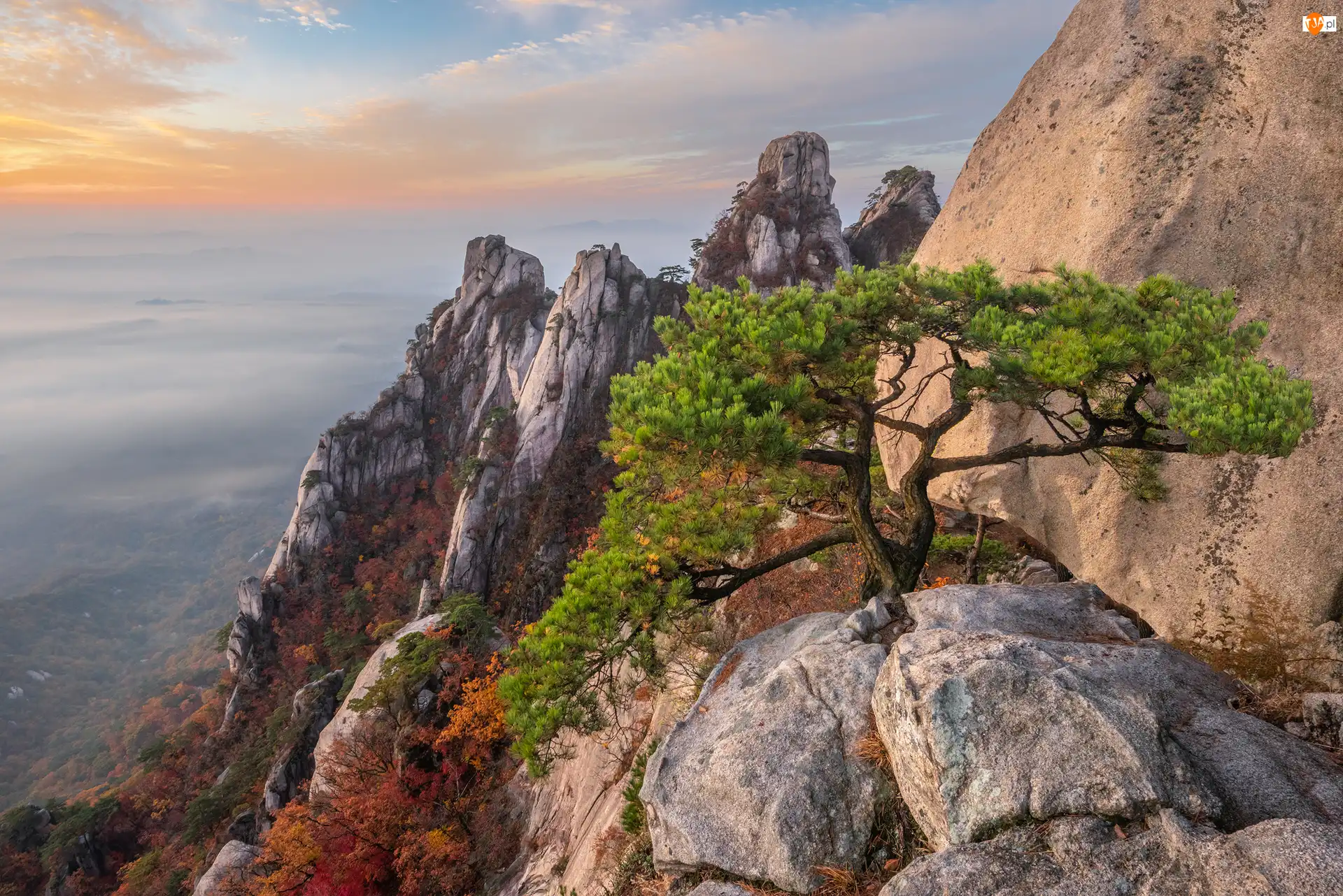 Skały, Sosna, Korea Południowa, Góry, Prowincja Gyeonggi-do, Park Narodowy Bukhansan, Góra Dobongsan
