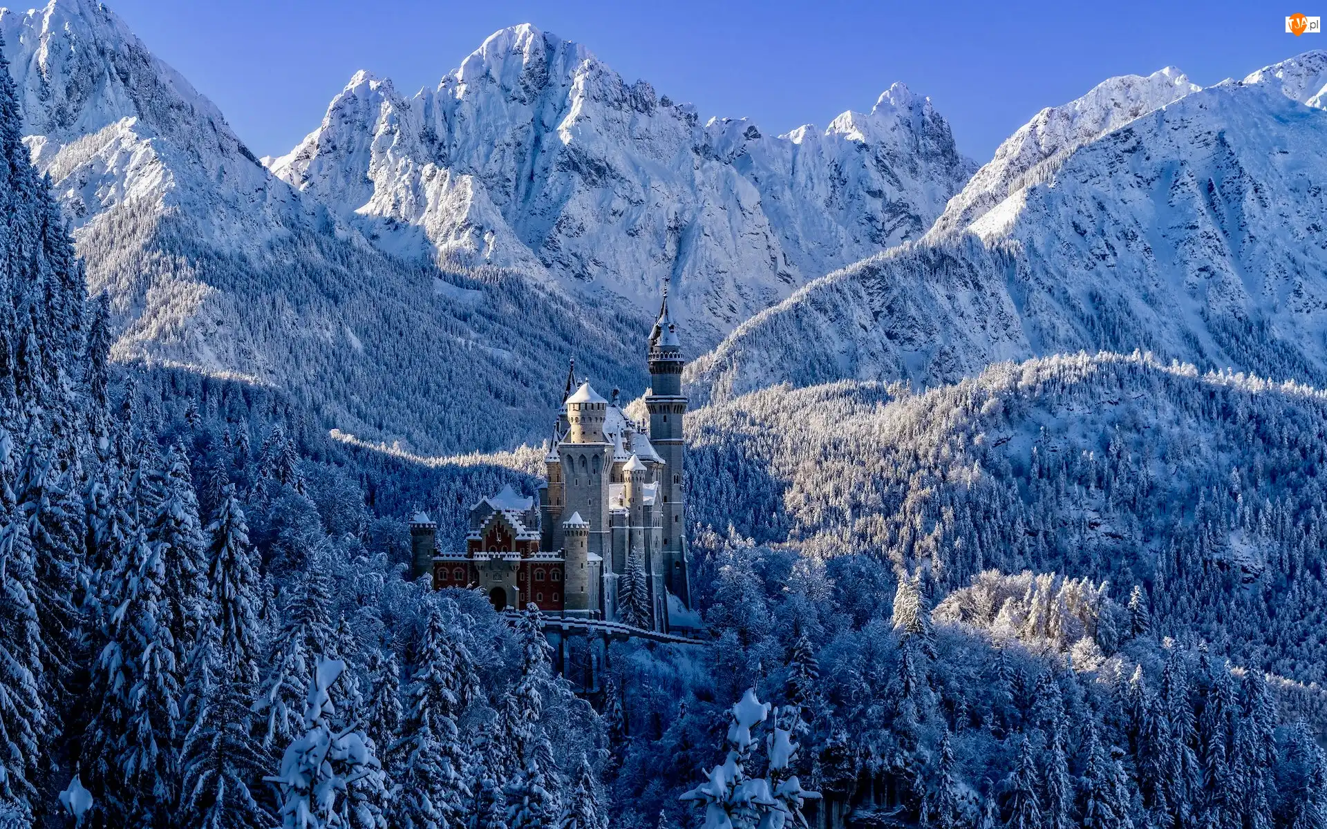 Bawaria, Zima, Zamek Neuschwanstein, Niemcy, Góry, Ośnieżone, Drzewa