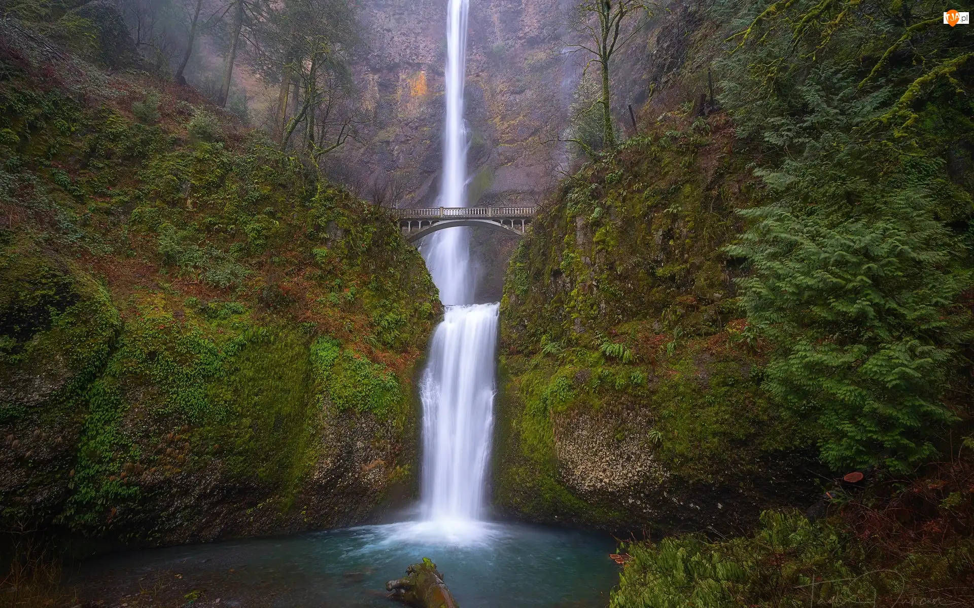 Multnomah, Wodospad, Skały, Oregon, Multnomah Falls, Drzewa, Stany Zjednoczone, Most