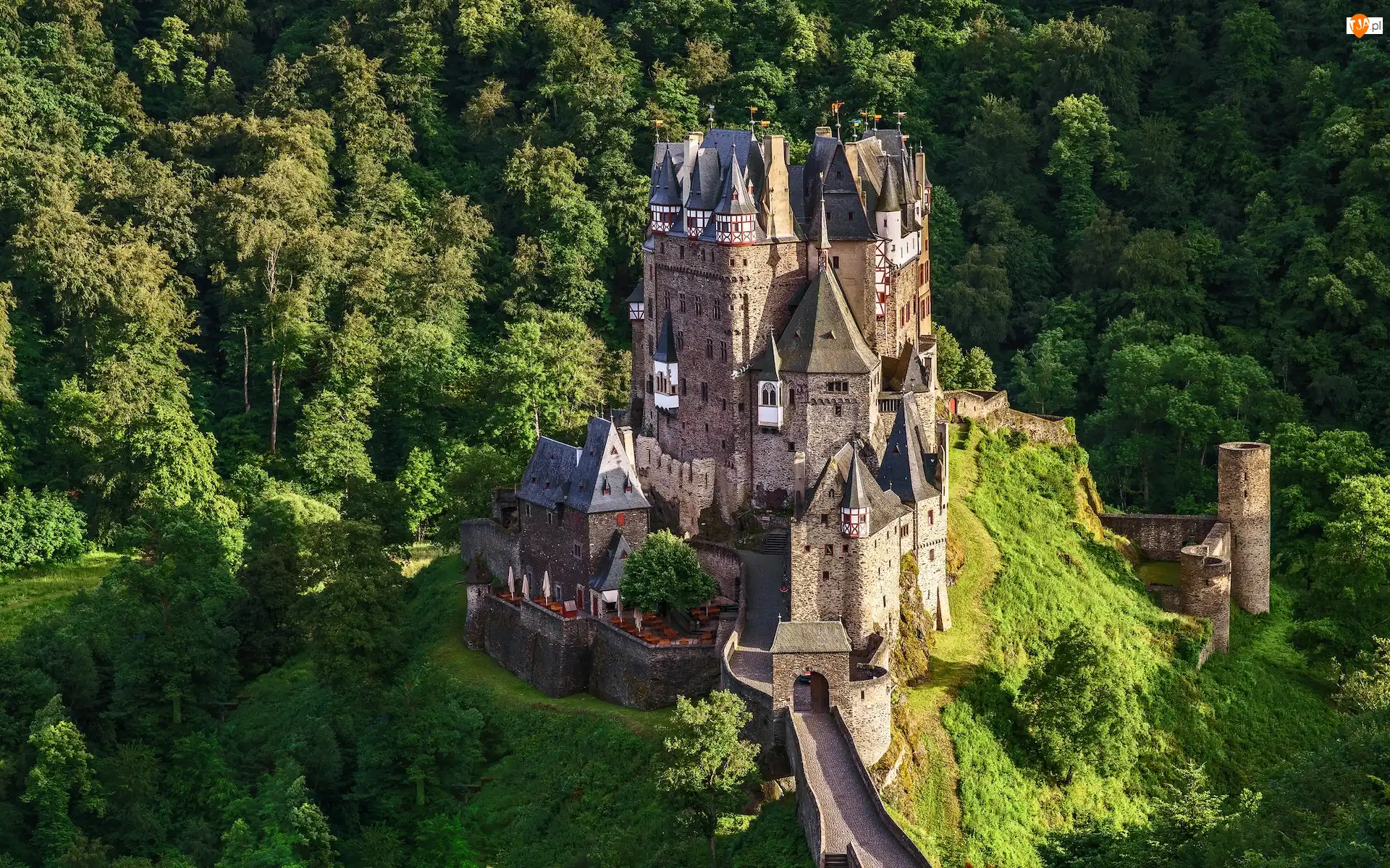 Zamek Eltz, Las, Niemcy, Góry Eifel, Gmina Wierschem, Drzewa, Zielone