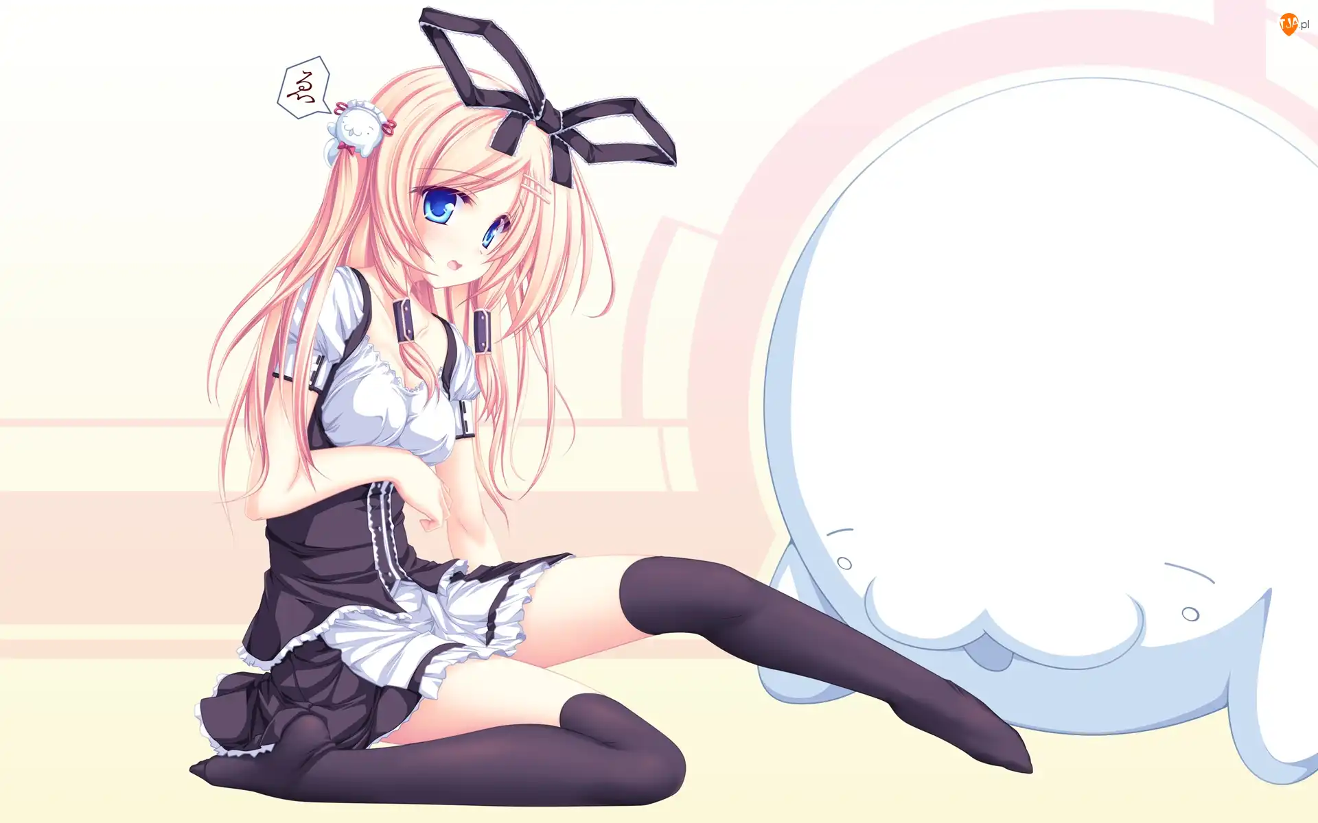 Konachan, Anime