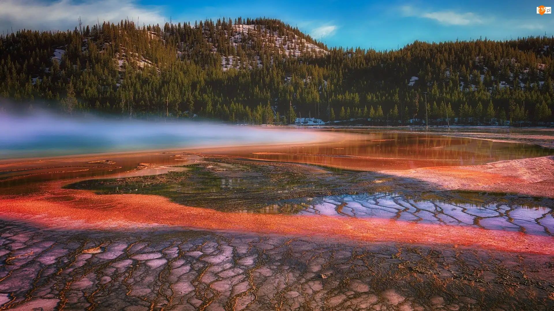Park Narodowy Yellowstone, Gejzer, Góra, Stan Wyoming, Gorące źródło, Drzewa, Stany Zjednoczone, Grand Prismatic Spring