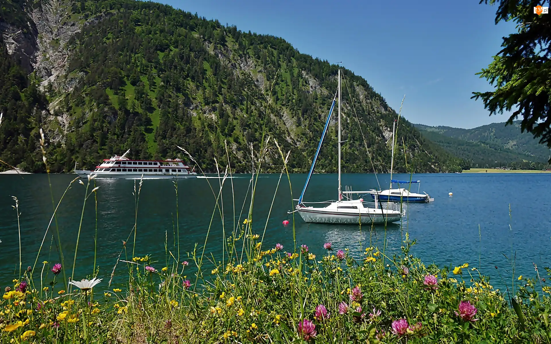 Wycieczkowy, Góry, Statek, Achensee, Jachty, Lasy, Łąka, Tyrol, Jezioro