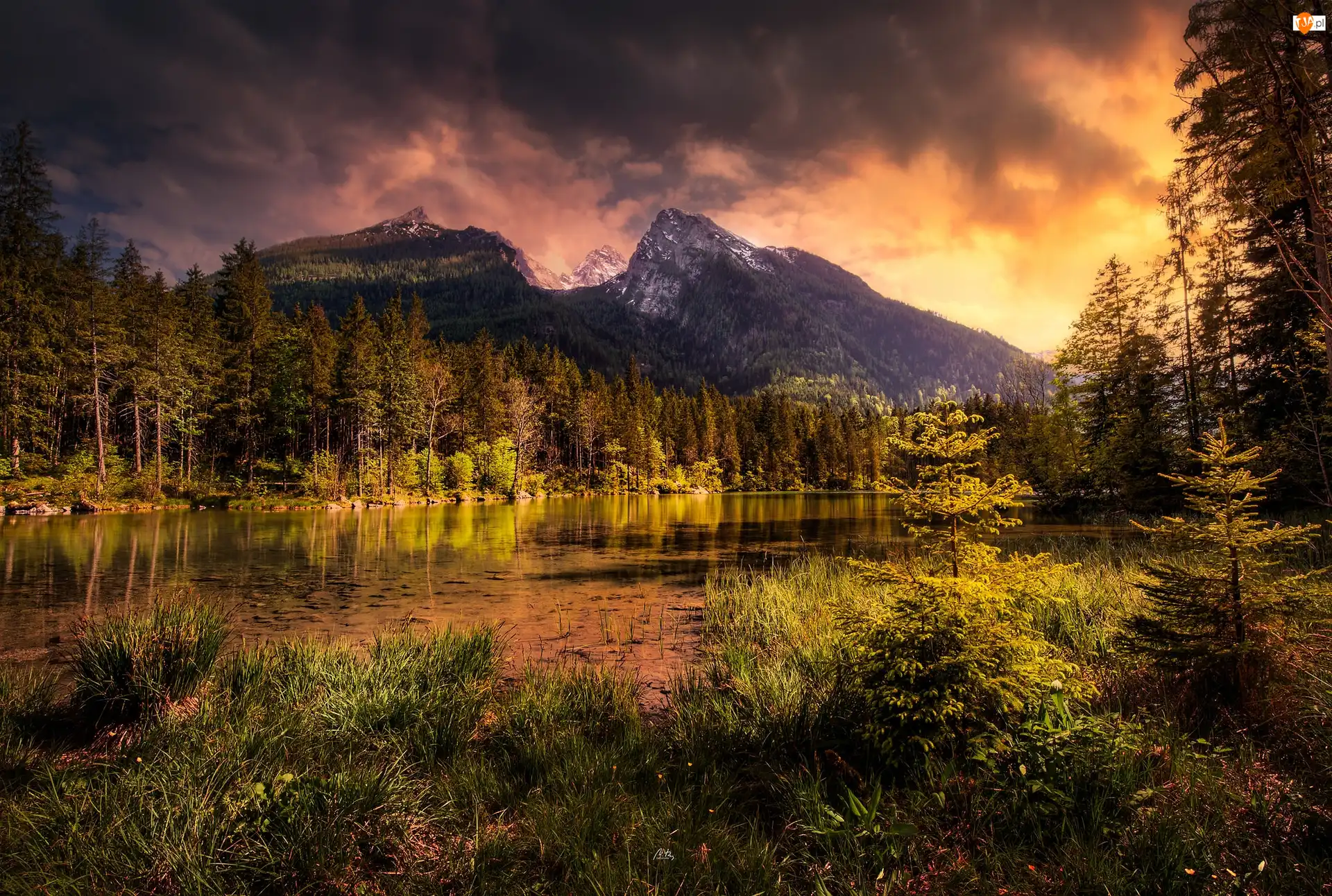 Powiat Berchtesgadener, Jezioro Hintersee, Niemcy, Drzewa, Bawaria, Góry