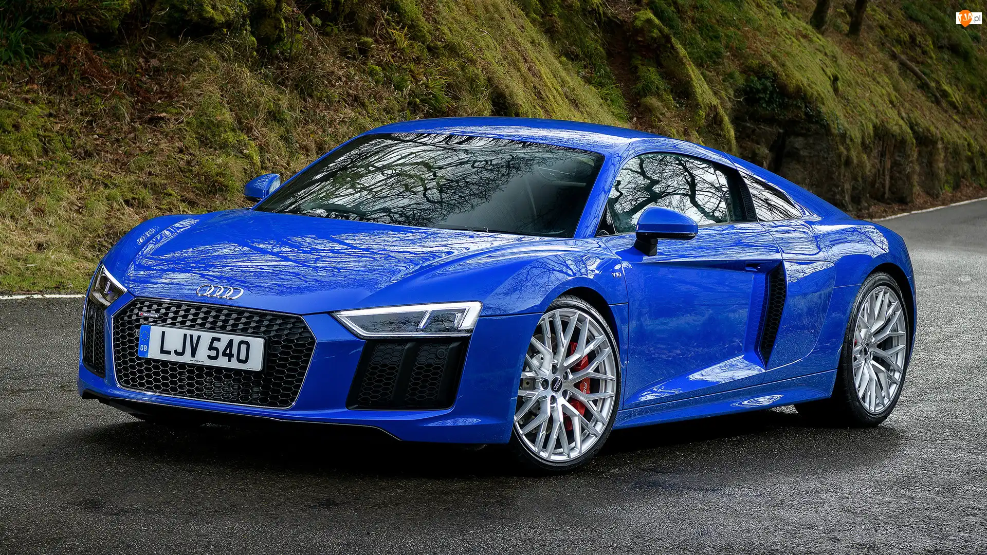 Coupe, Niebieskie, Audi R8