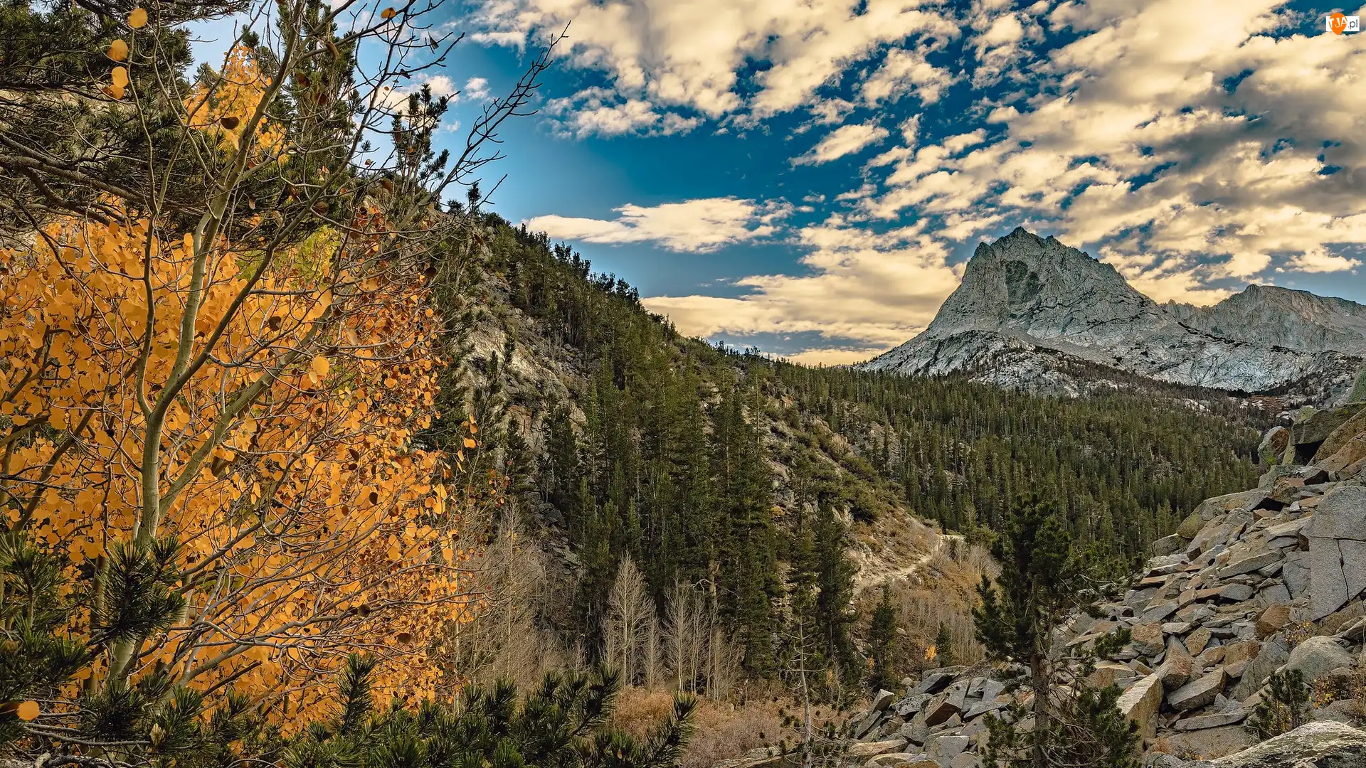 Przełęcz, Bishop Pass, Stany Zjednoczone, Góry Sierra Nevada, Kalifornia, Drzewa, Skały