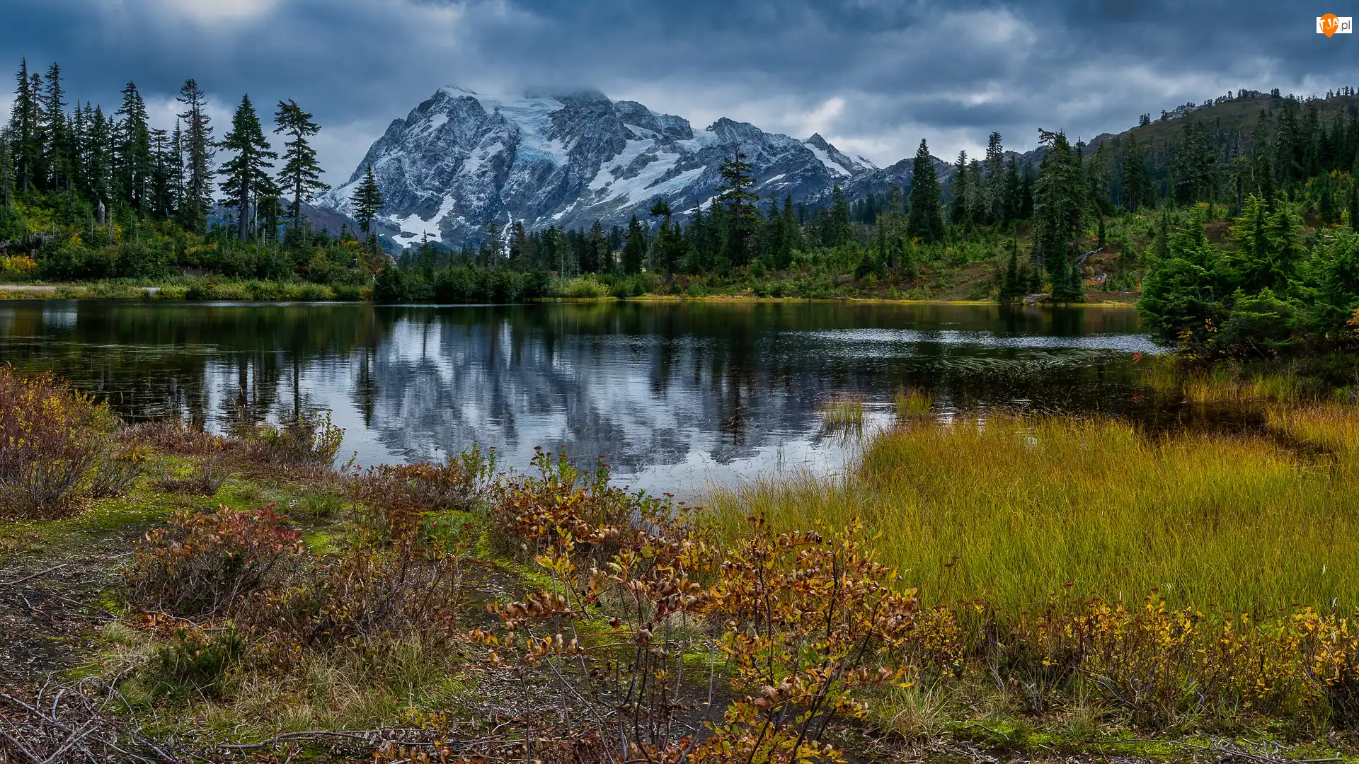Park Narodowy Północnych Gór Kaskadowych, Drzewa, Stan Waszyngton, Lasy, Picture Lake, Jezioro, Góra, Góry Kaskadowe, Mount Shuksan, Stany Zjednoczone